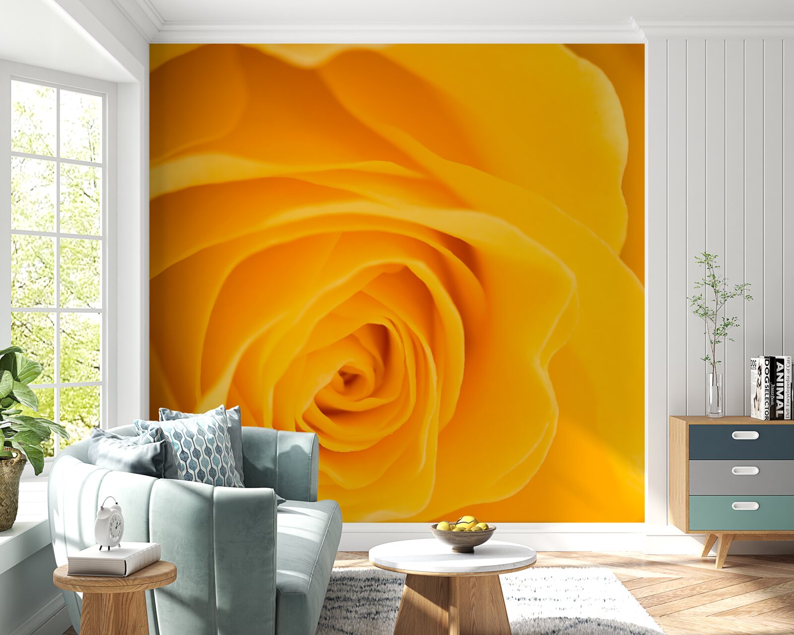 Fototapeten Rosengelbe Blume