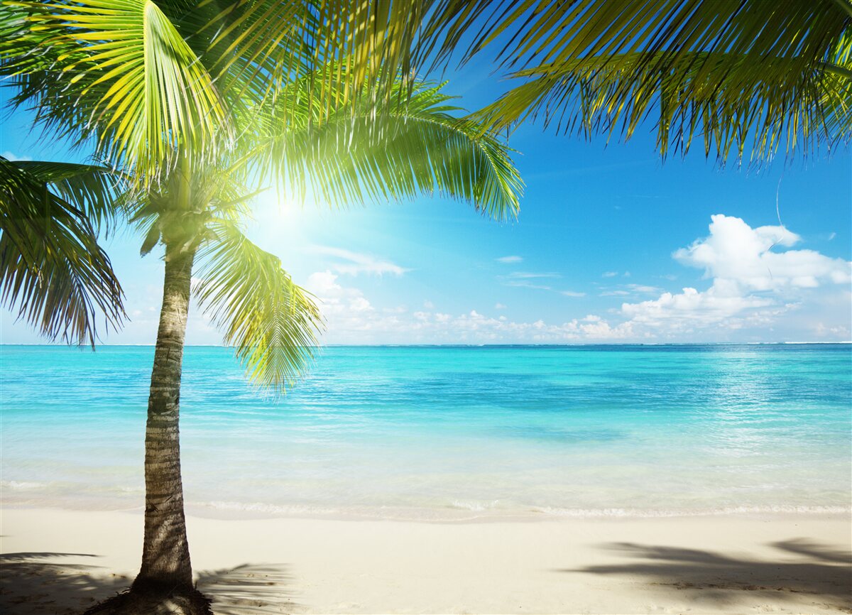 Fototapeten Ein ruhiger exotischer Strand, der mit Palmen dekoriert ist