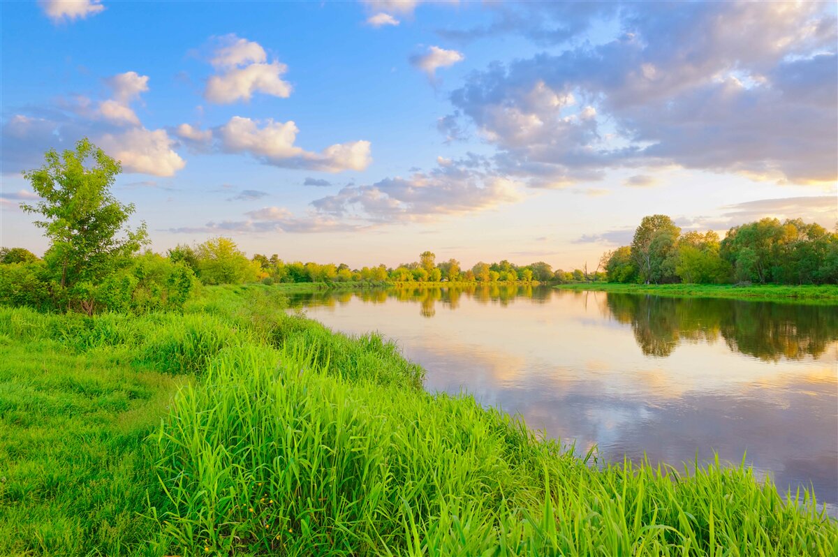 Fototapeten Ein ruhiger Fluss neben der grünen Wiese