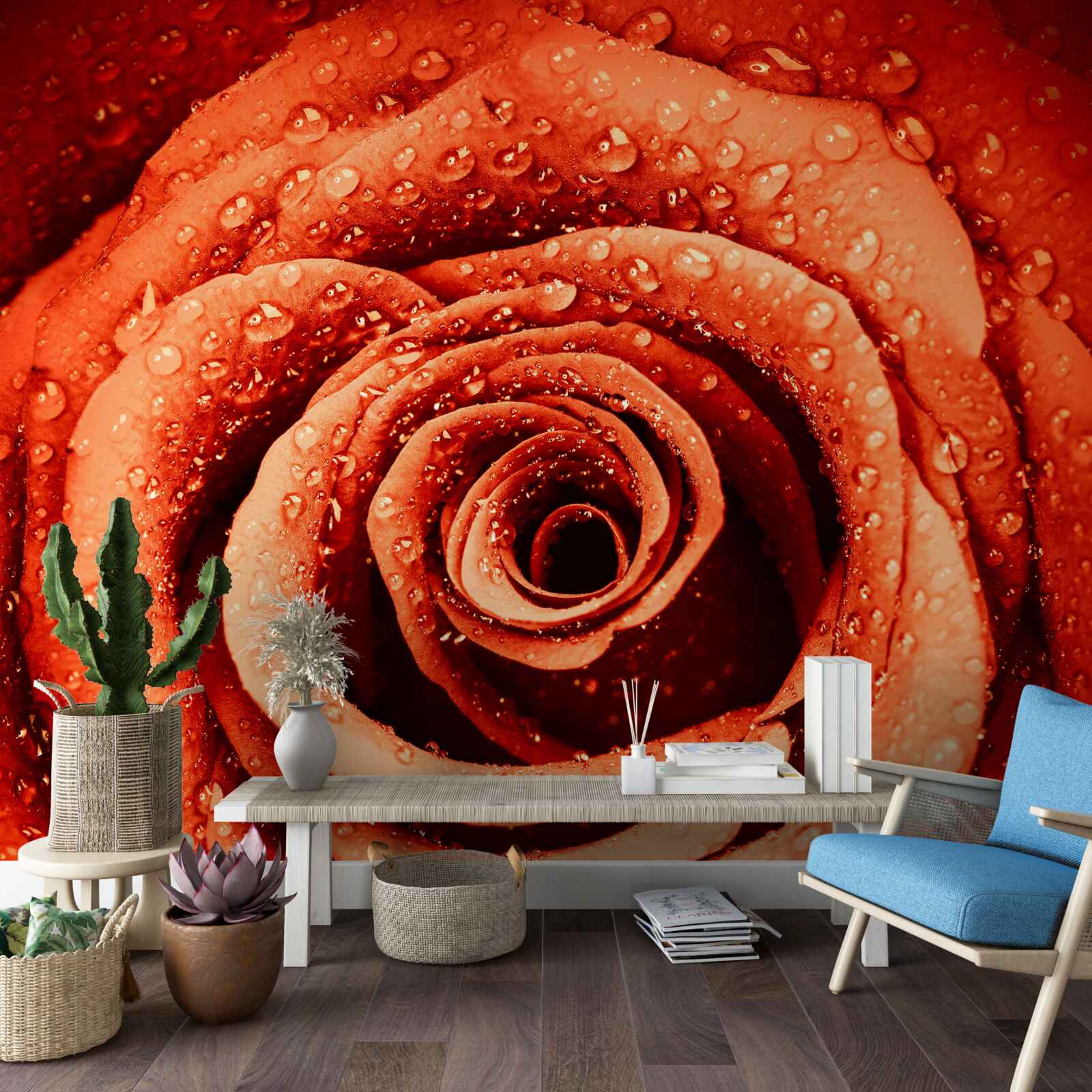 Fototapeten Tropfen Tau auf ein Crimson Rose Blütenblatt