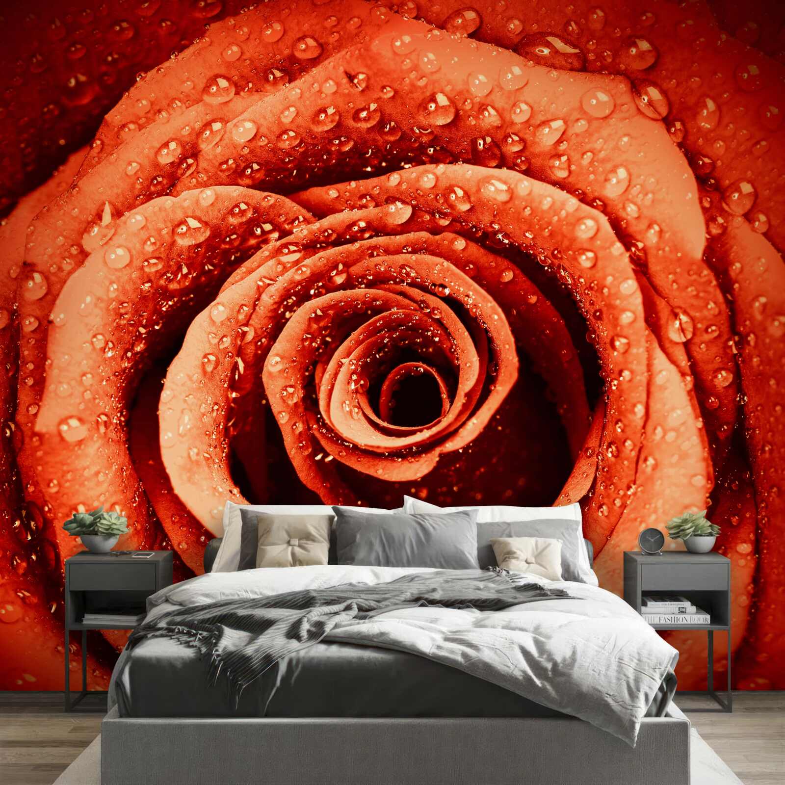 Fototapeten Tropfen Tau auf ein Crimson Rose Blütenblatt