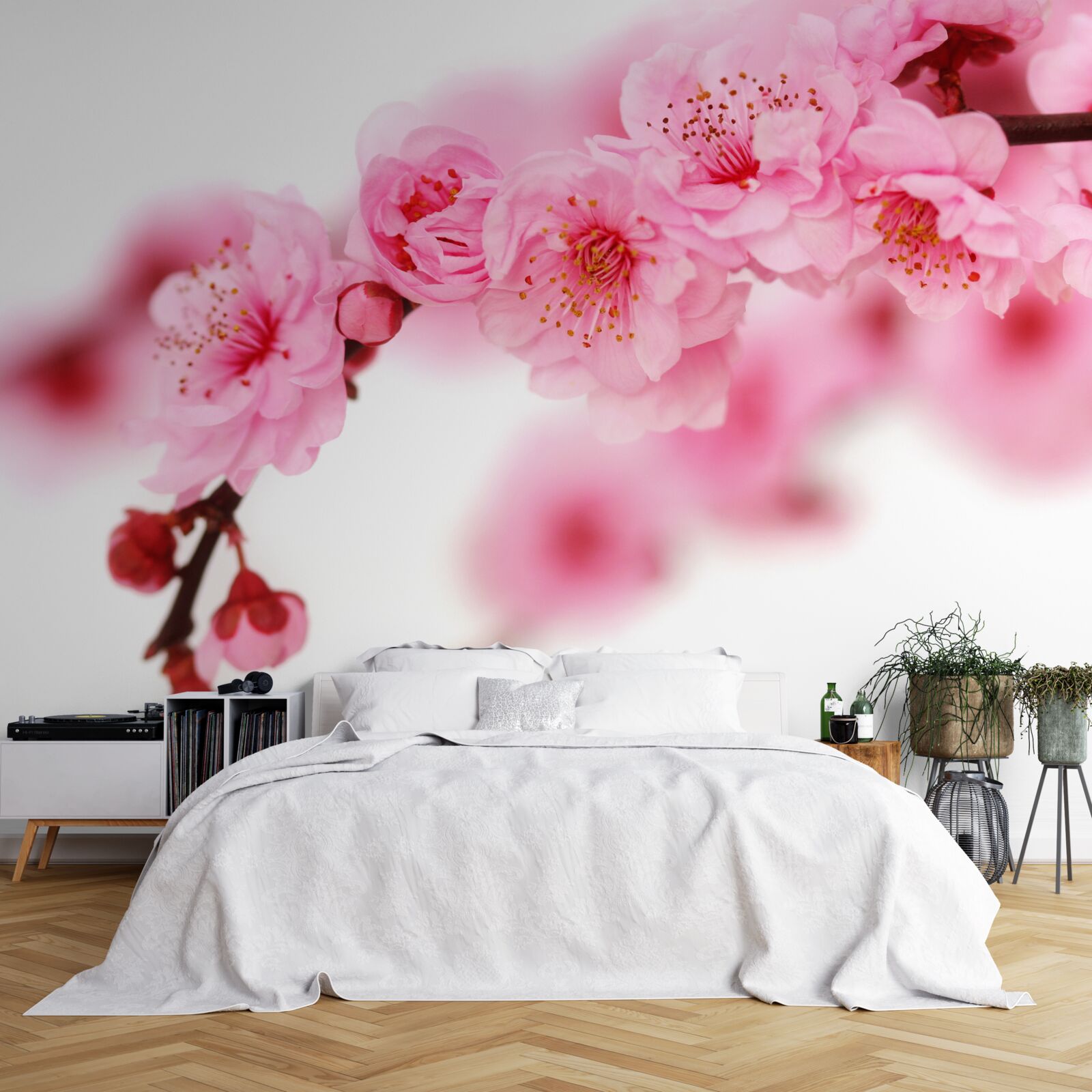 Fototapeten Der rosa Zweig von Sakura liegt in der Nähe des Wassers