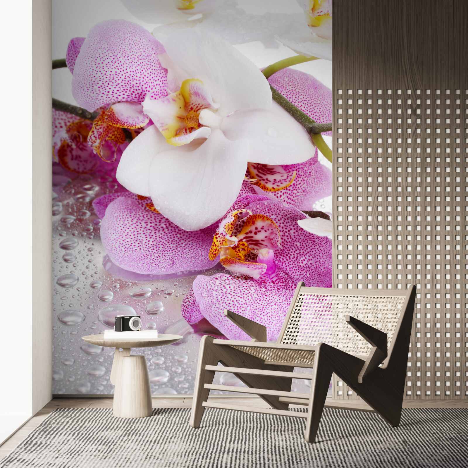 Fototapeten Orchideen mit Blütenblättern in Weiß und Rosa