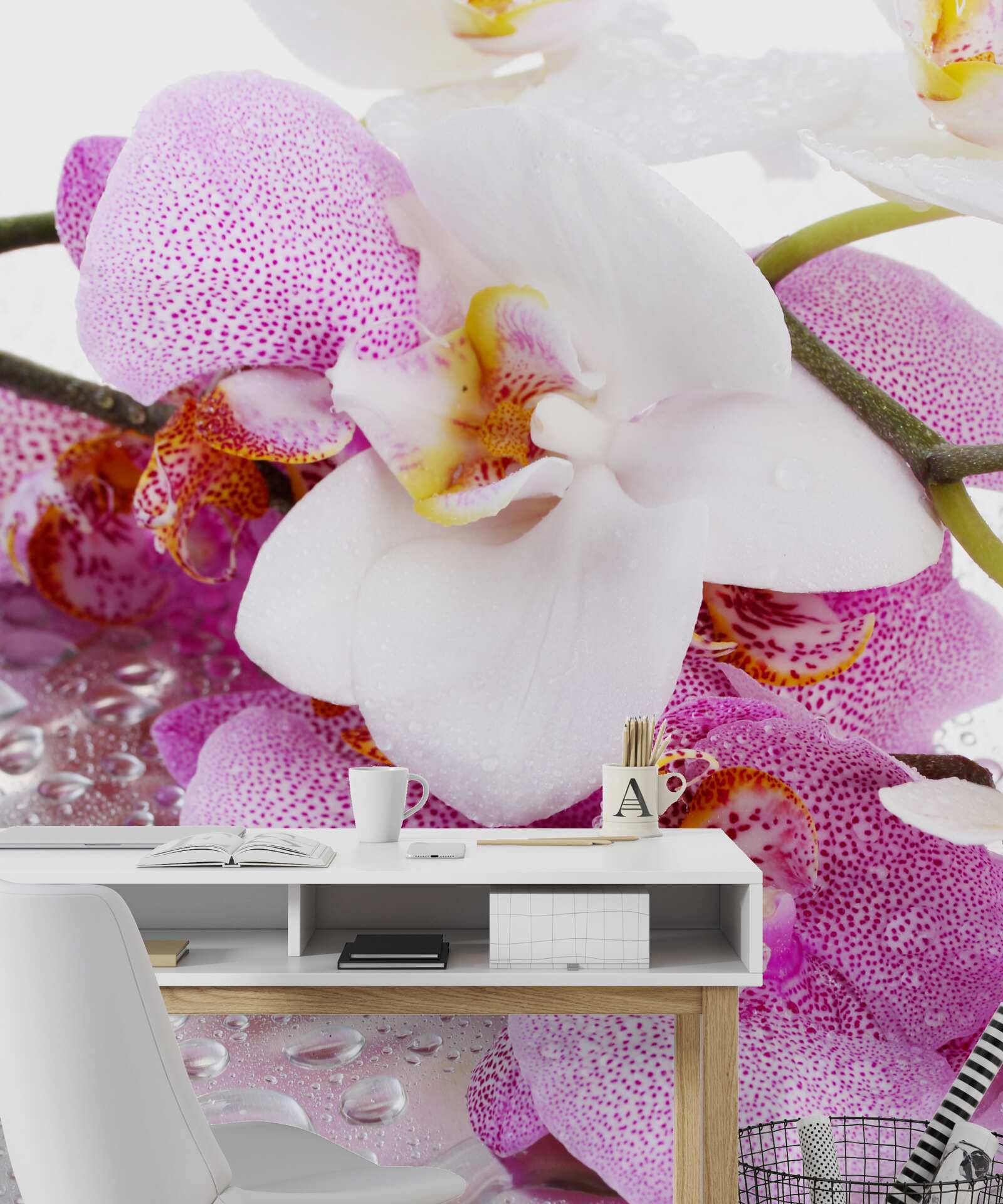 Fototapeten Orchideen mit Blütenblättern in Weiß und Rosa