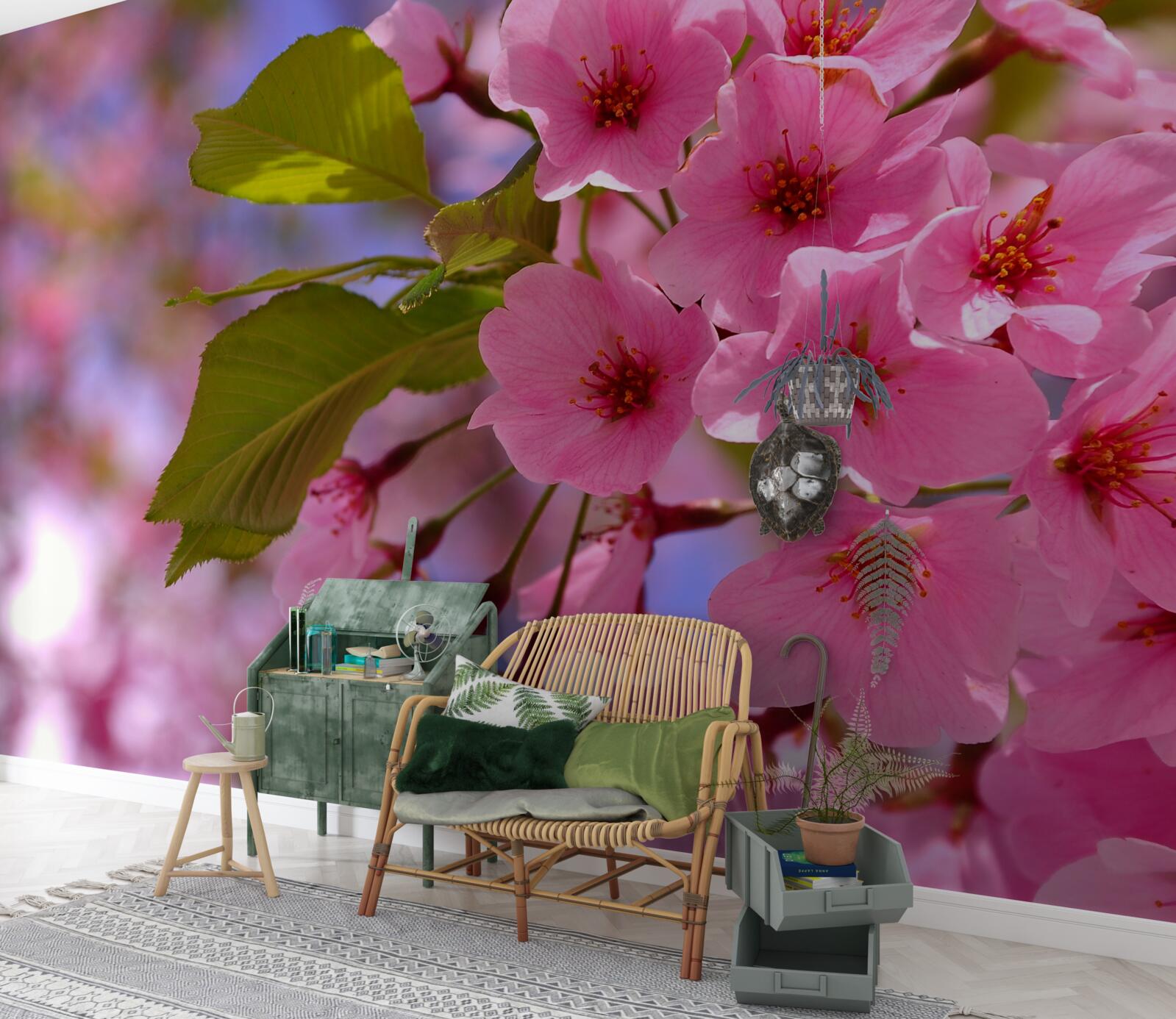 Fototapeten Sakura große Knospen blühen im Frühling