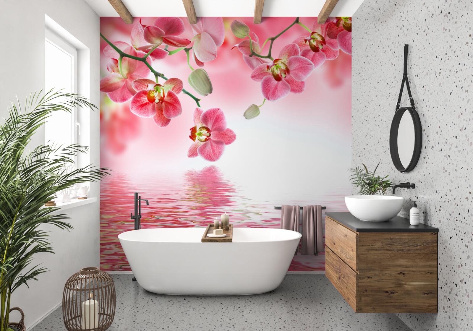Fototapeten Eine rote Orchidee am Baum hängt über dem Wasser