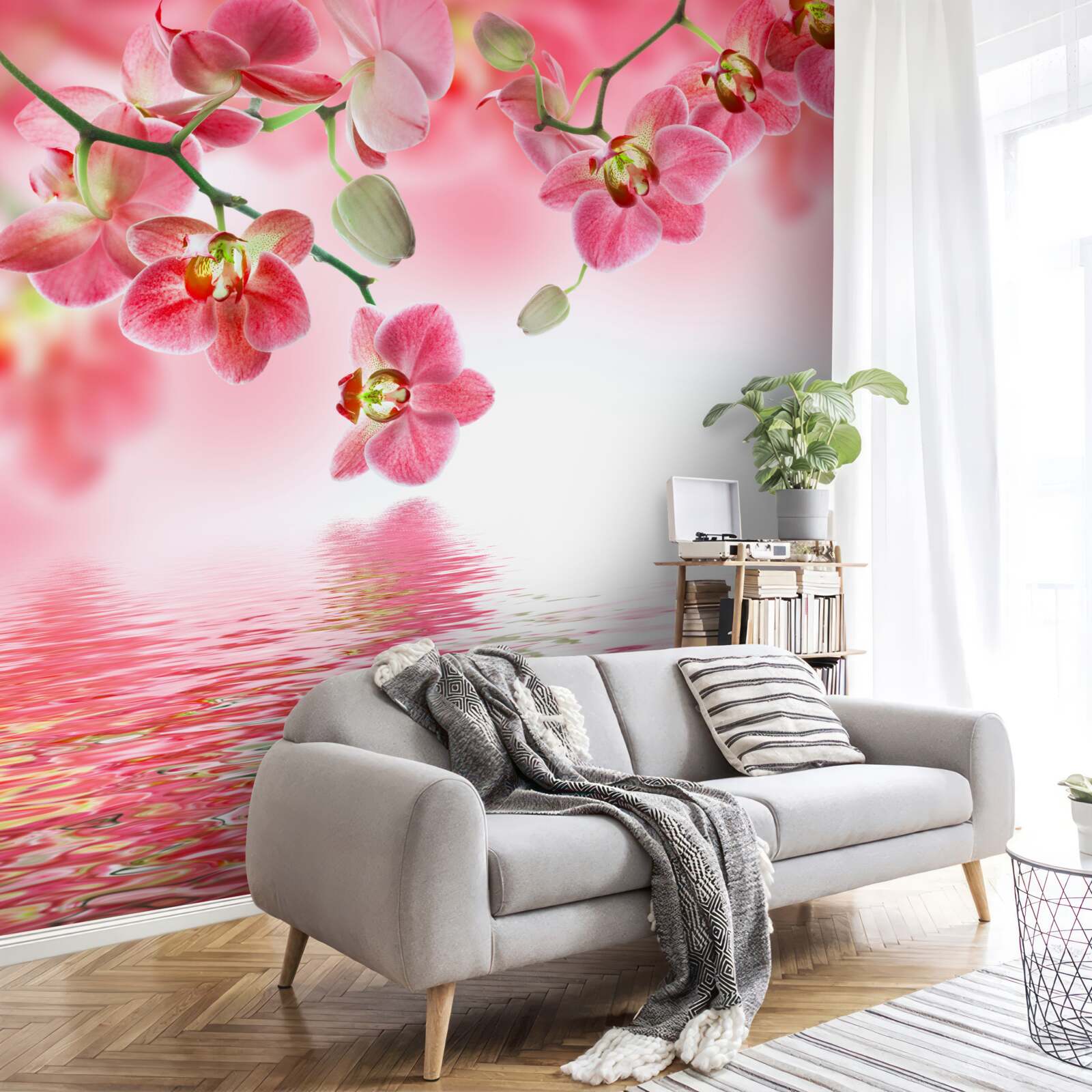 Fototapeten Eine rote Orchidee am Baum hängt über dem Wasser