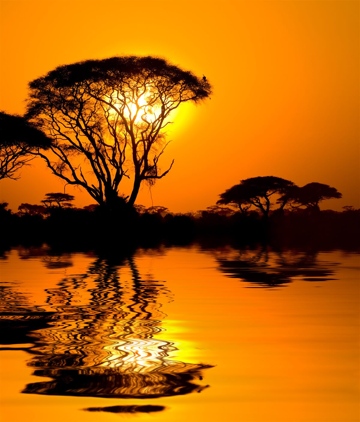 Fototapeten Sonnenuntergang in der Wüstenreflexion im Wasser
