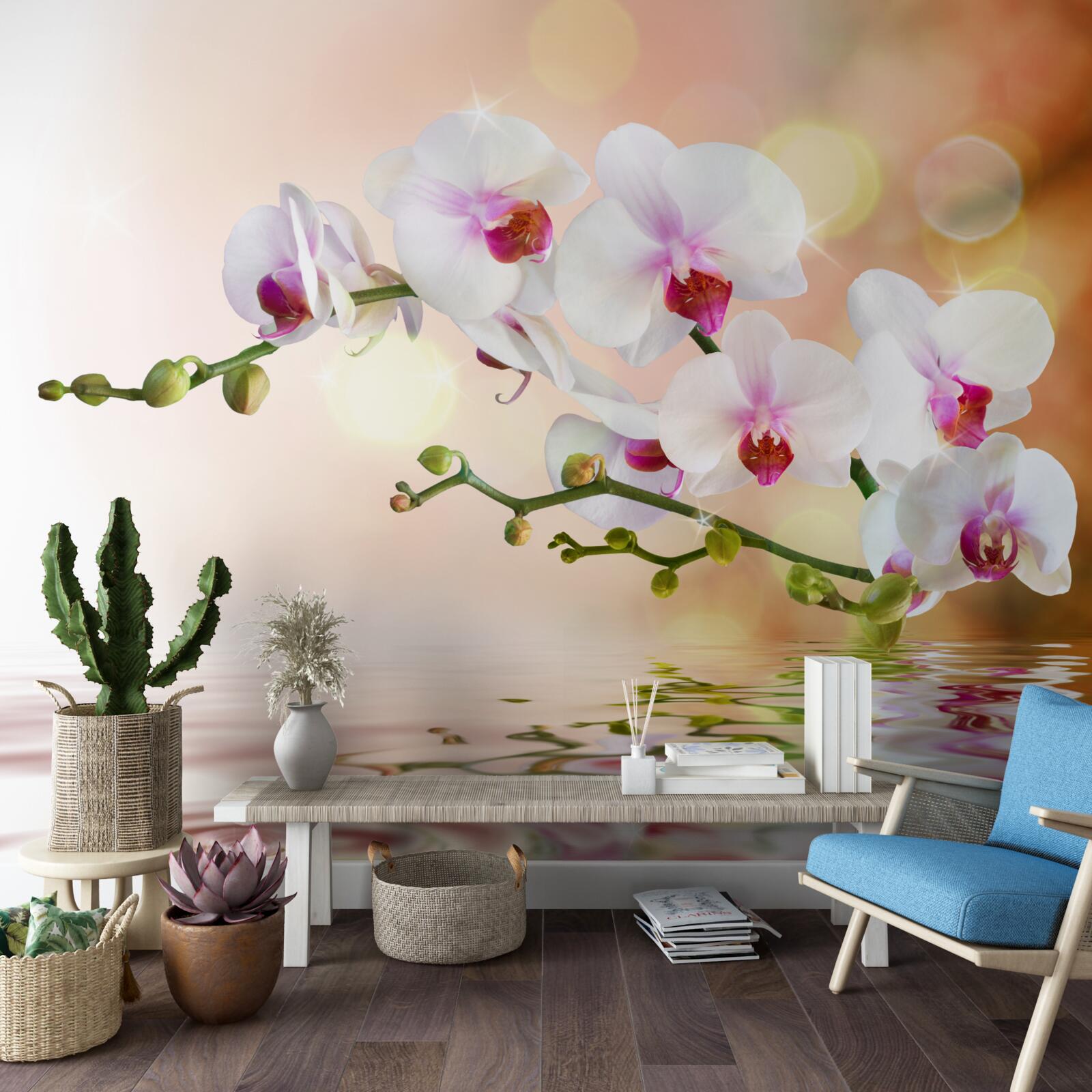 Fototapeten Ein Zweig der weißen Orchidee, die im Wasser reflektiert wird