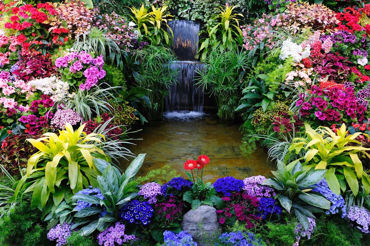 Fototapeten Tropische Blumen neben dem Bergwasserfall