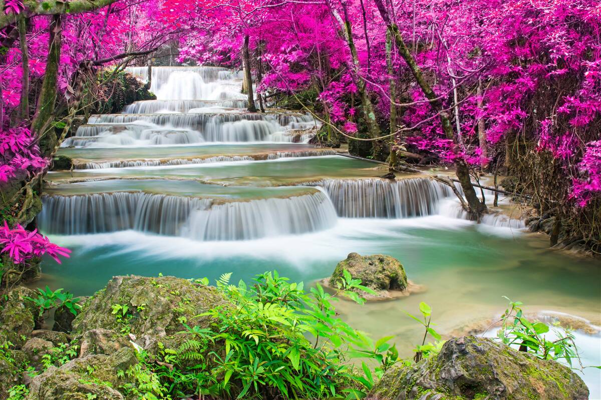 Fototapeten Blühende Bäume in der Nähe des Stufenwasserfalls