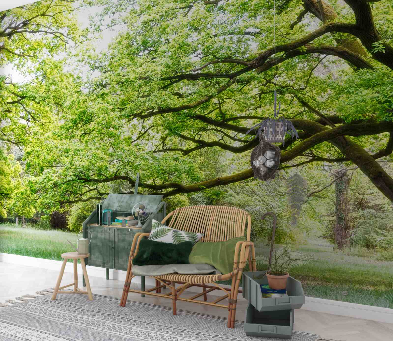 Fototapeten Ein alter Baum mit grünen Blättern an einem Sommertag