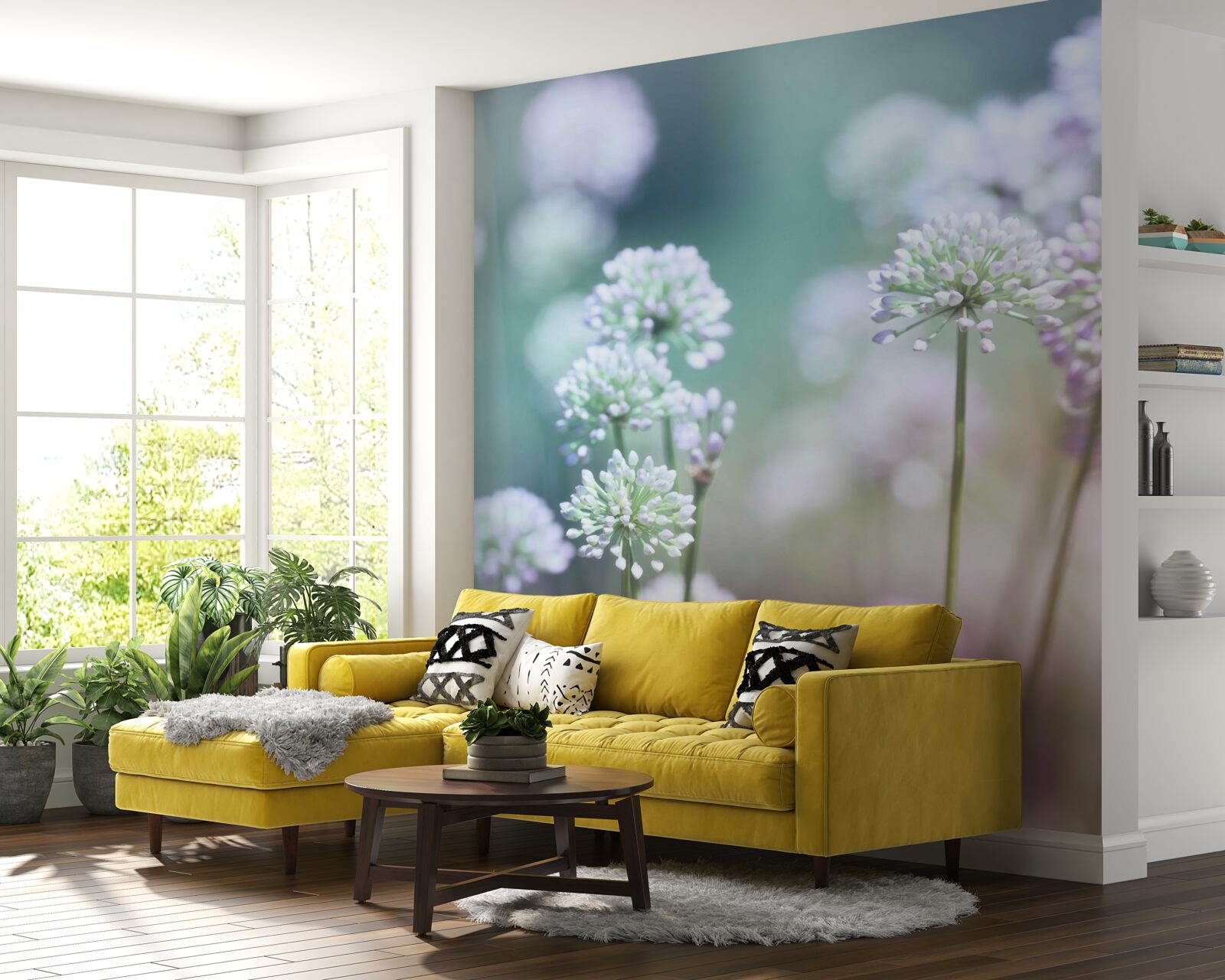 Fototapeten Blüten zarter weißer Löwenzahns
