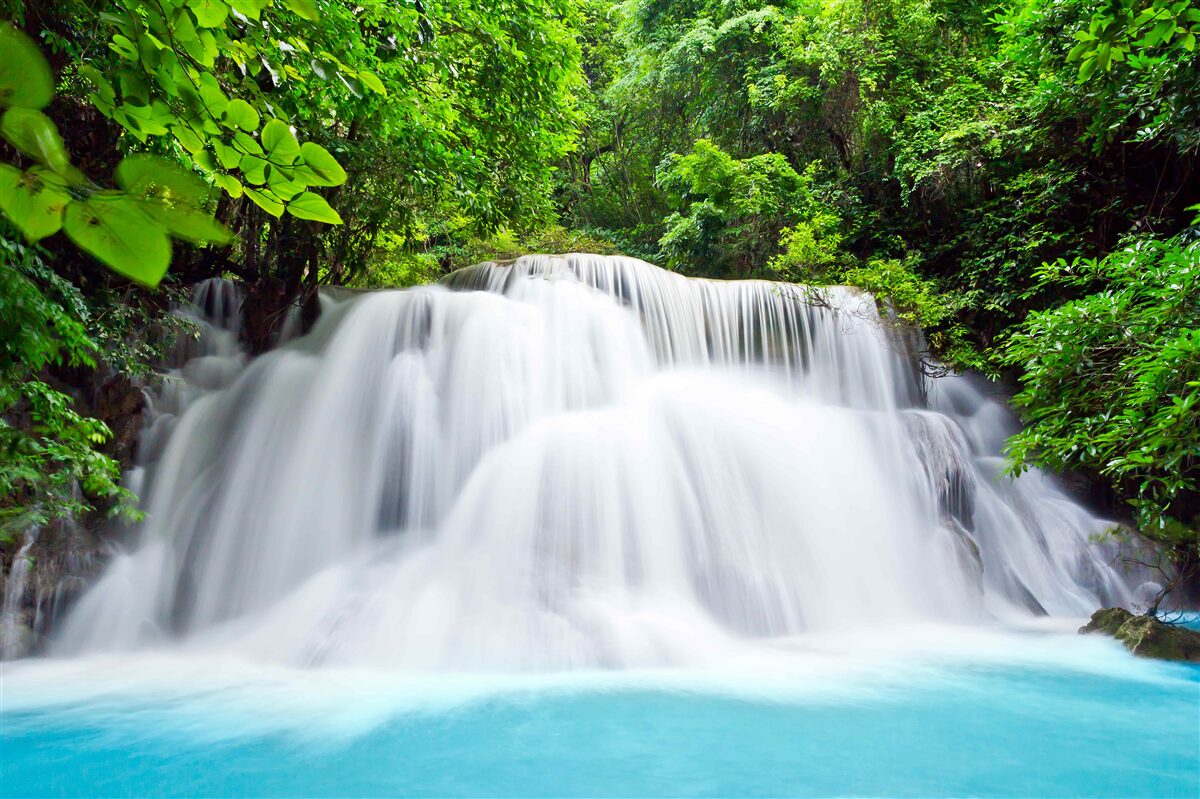 Fototapeten Kaskadenwasserfall fällt schnell in die Mitte des Waldes