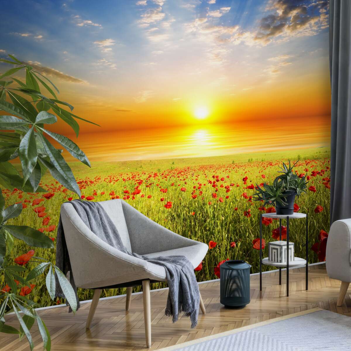 Fototapeten Die Sonne untergeht über dem Feld der lila Mohnblumen