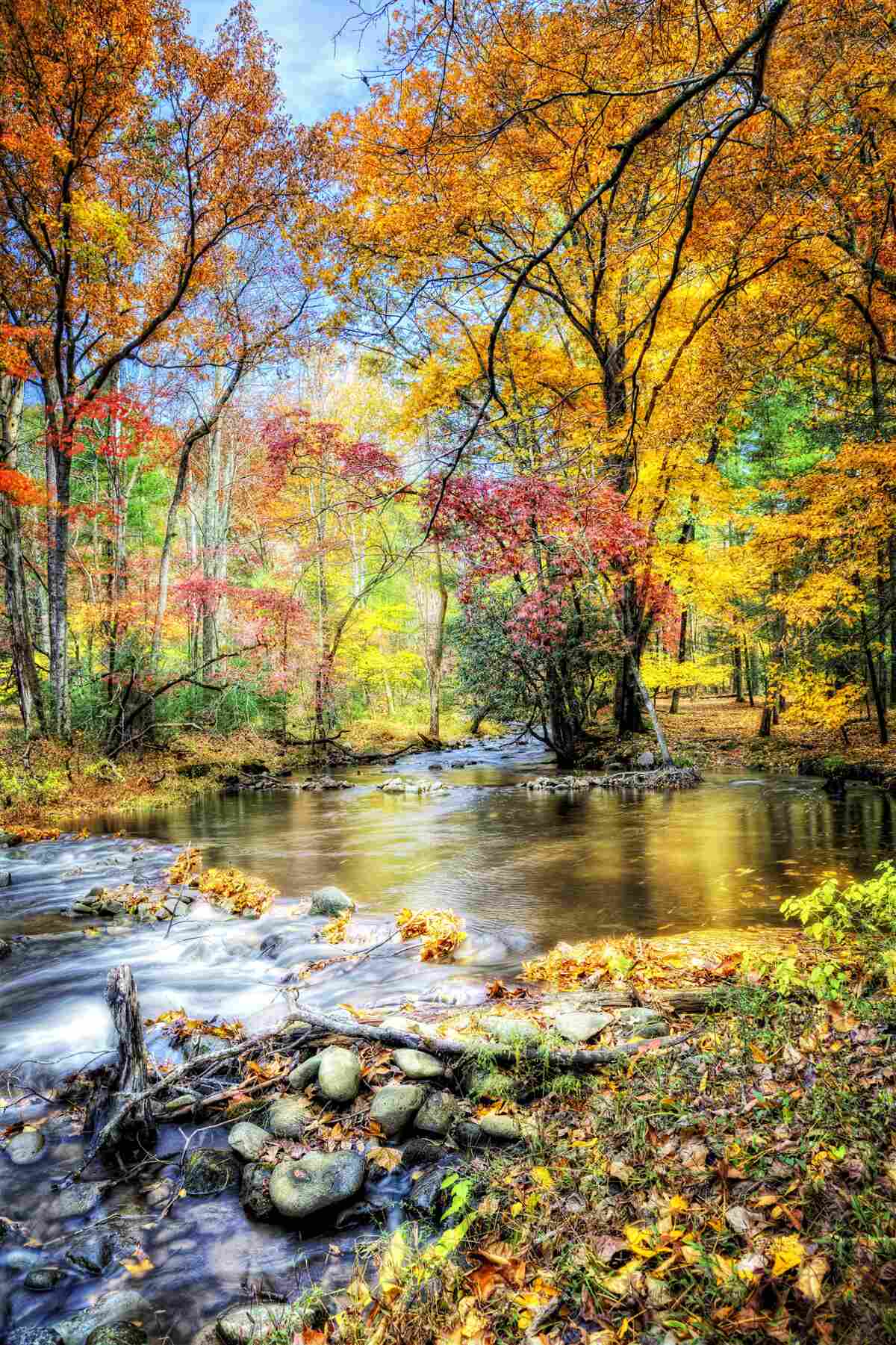 Fototapeten Wald im Herbst und den Fluss in den Bergen