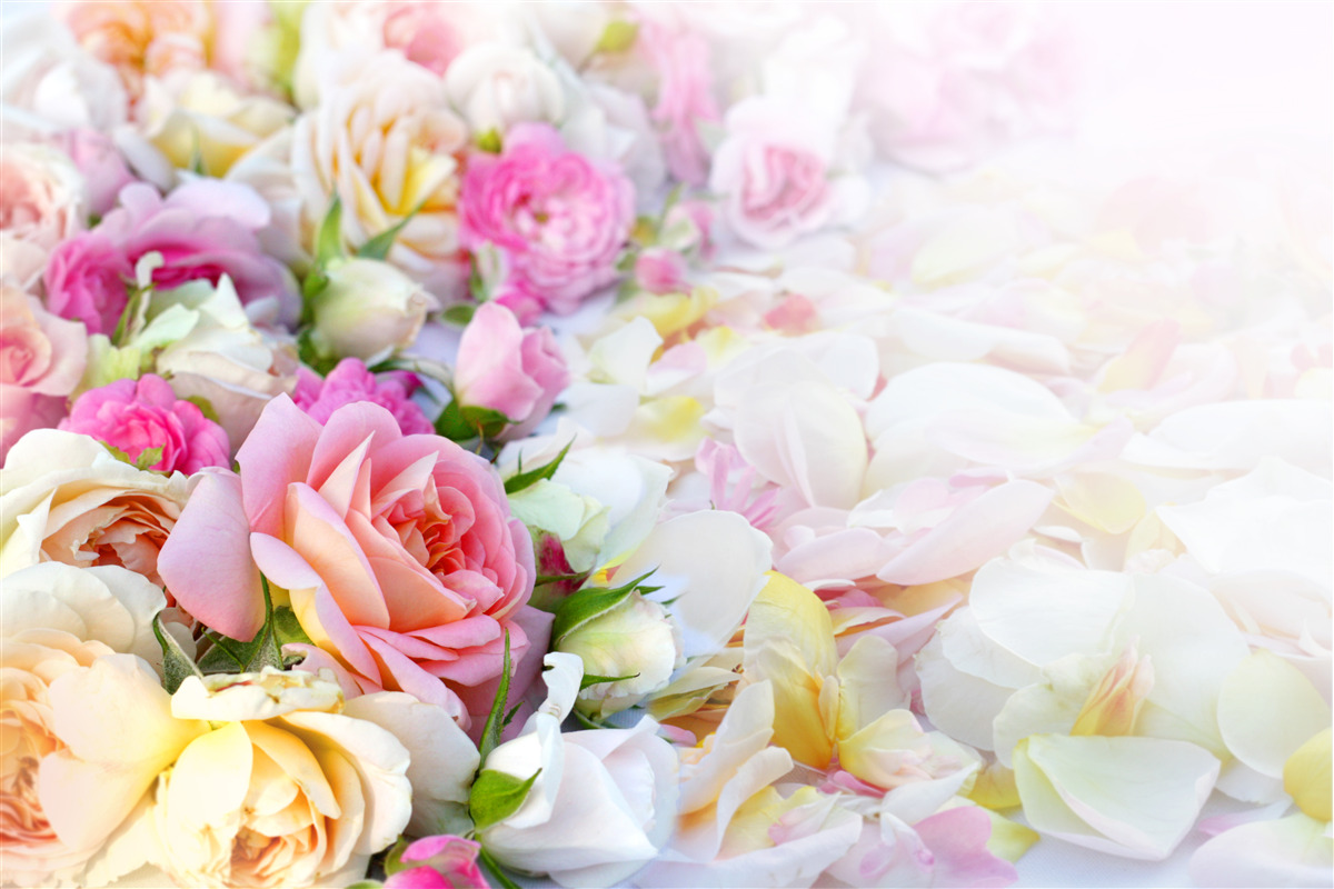 Fototapeten Blumenstrauß üppiger Sommerblumen