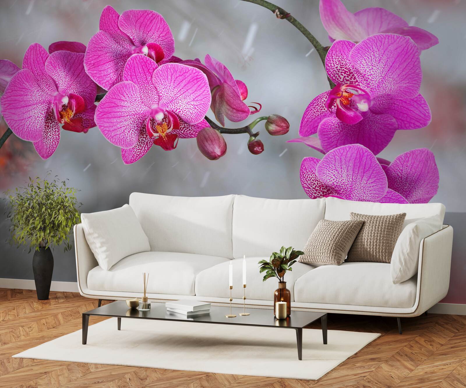 Fototapeten Rosa Orchideen blühen im Regen