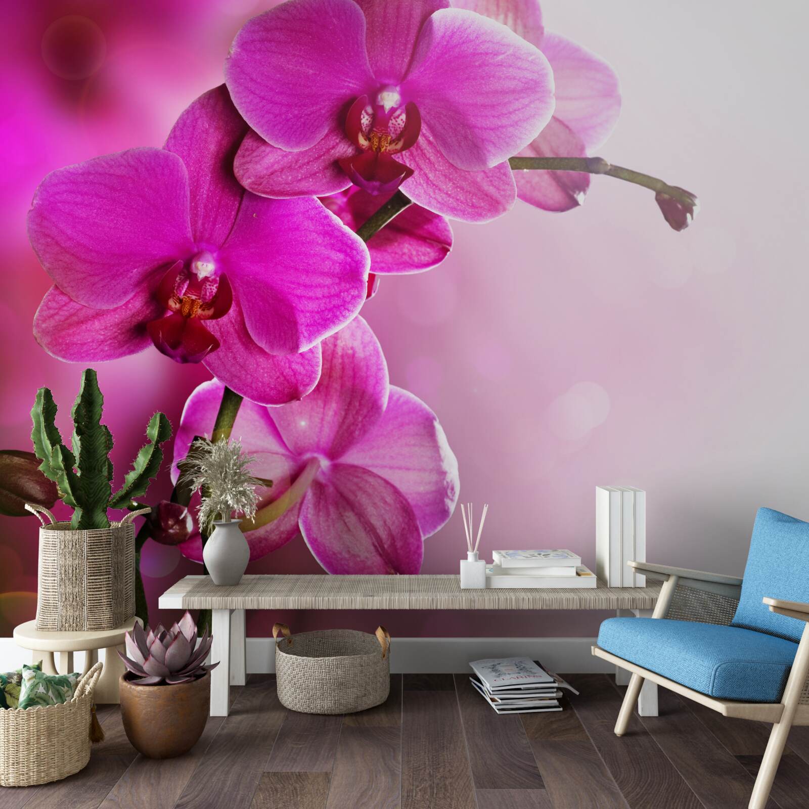 Fototapeten Der anmutige Zweig der lila Orchidee in der Sonne
