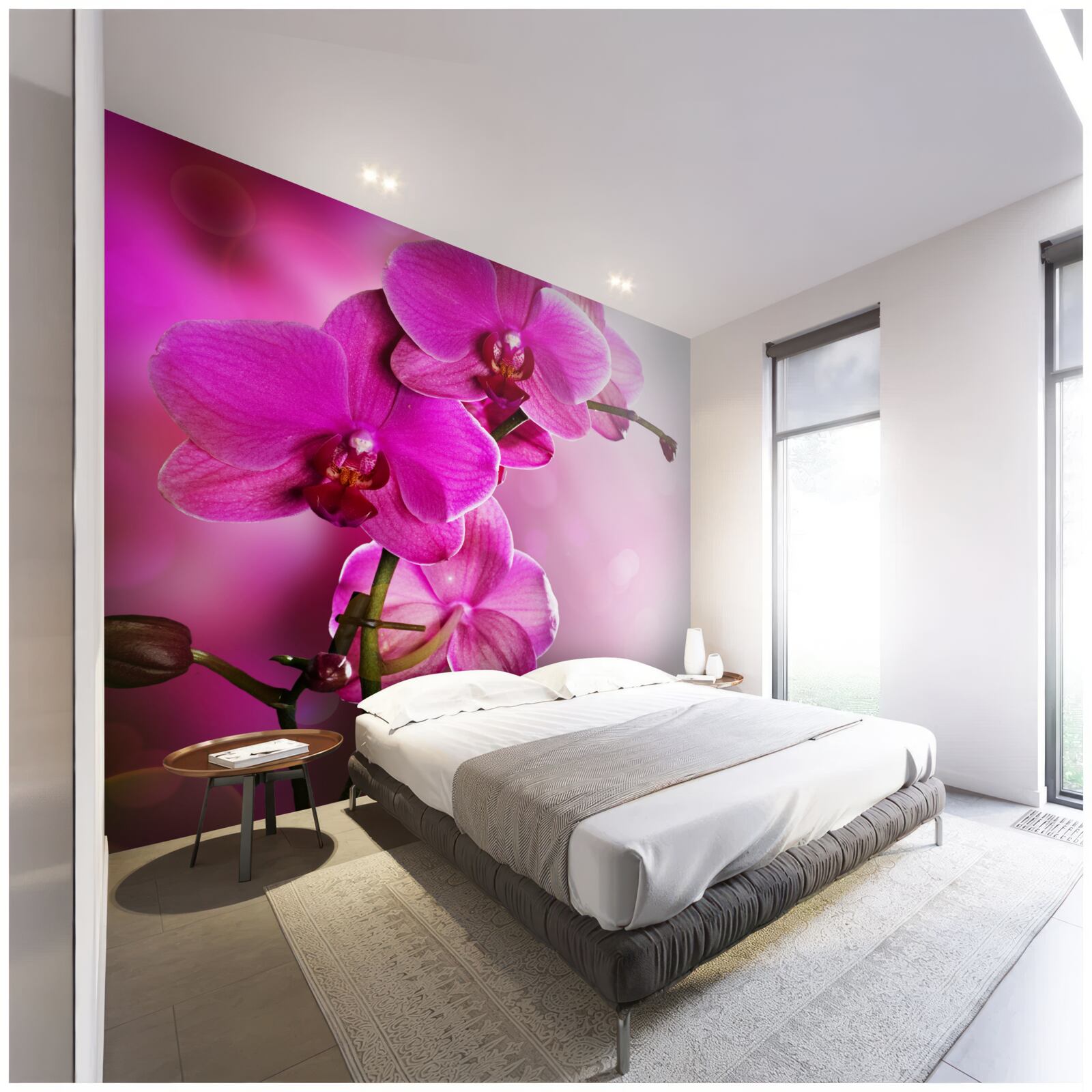 Fototapeten Der anmutige Zweig der lila Orchidee in der Sonne