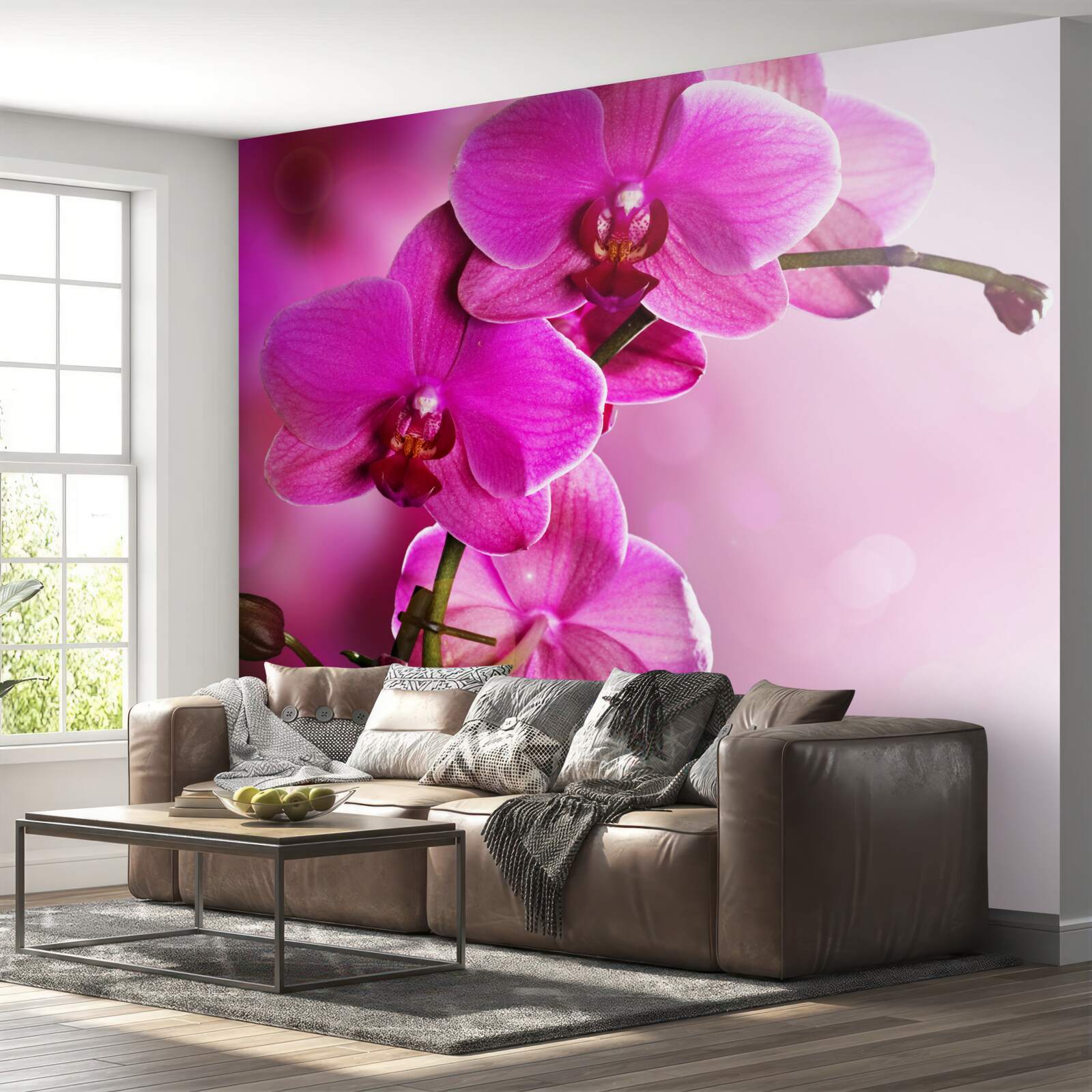 Fototapeten Der anmutige Zweig der lila Orchidee in der Sonne