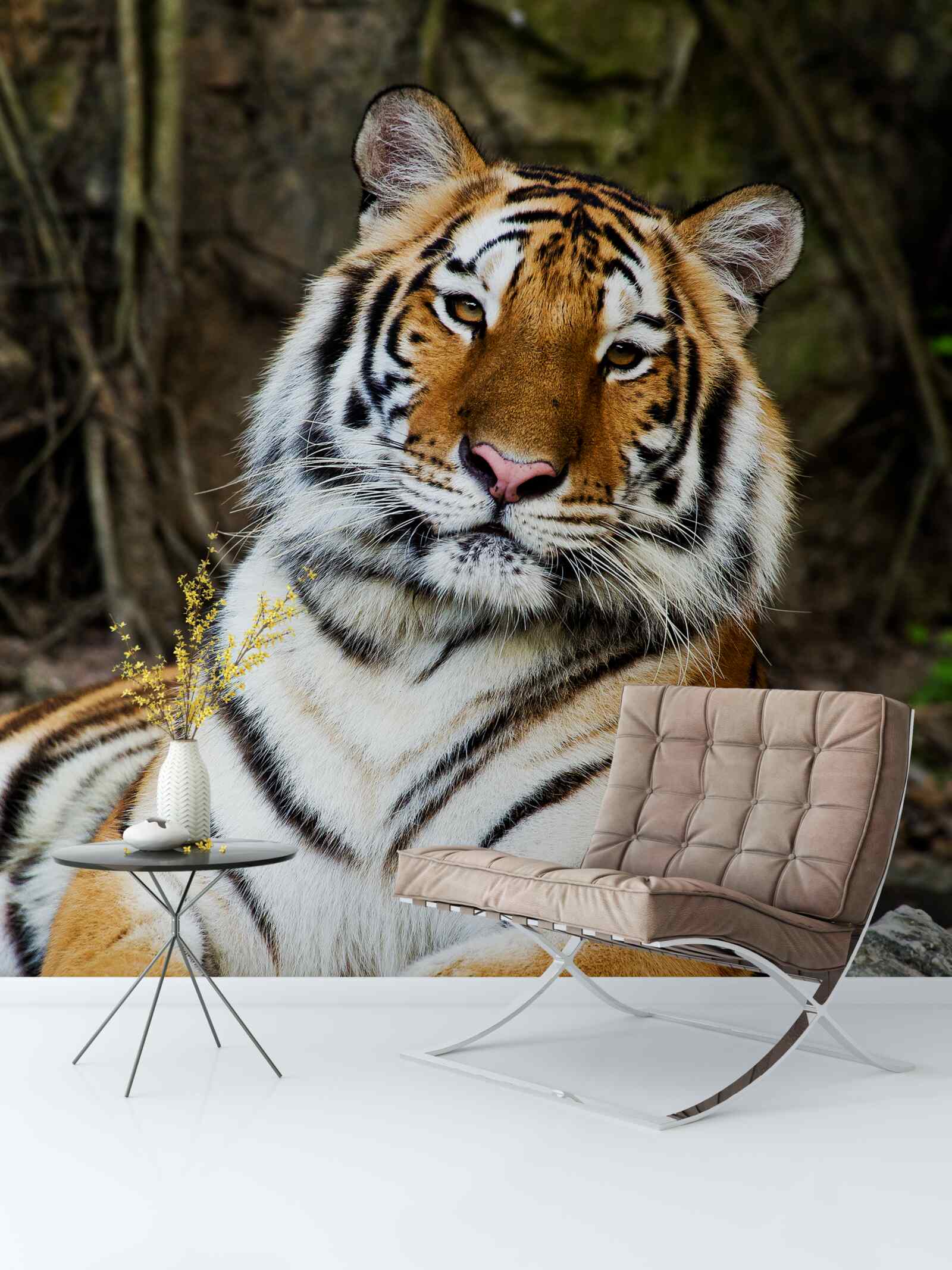 Fototapeten Ein großer Tiger im Urlaub