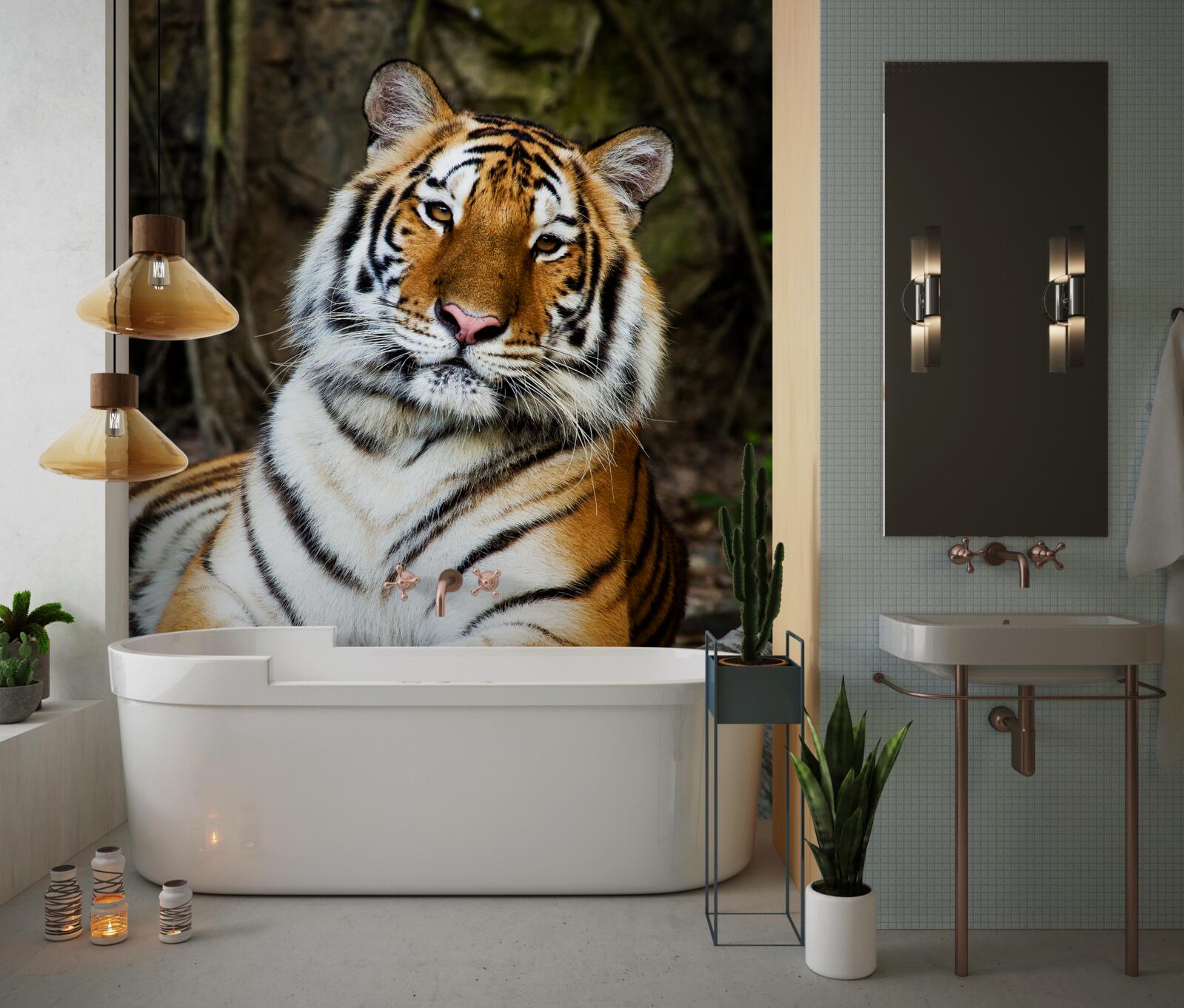Fototapeten Ein großer Tiger im Urlaub