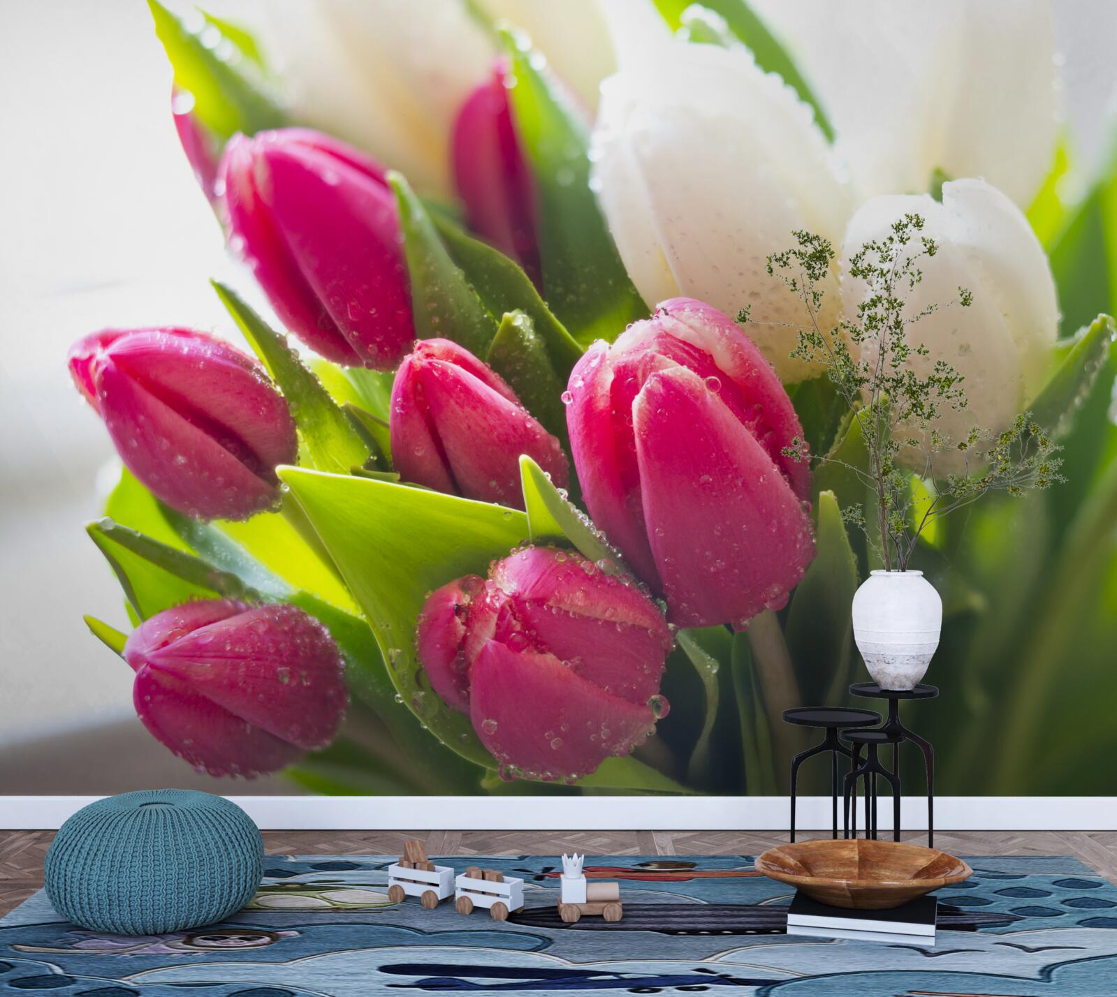 Fototapeten Zusammensetzung von weißen und Lavendel -Tulpen, die mit Tau bedeckt sind