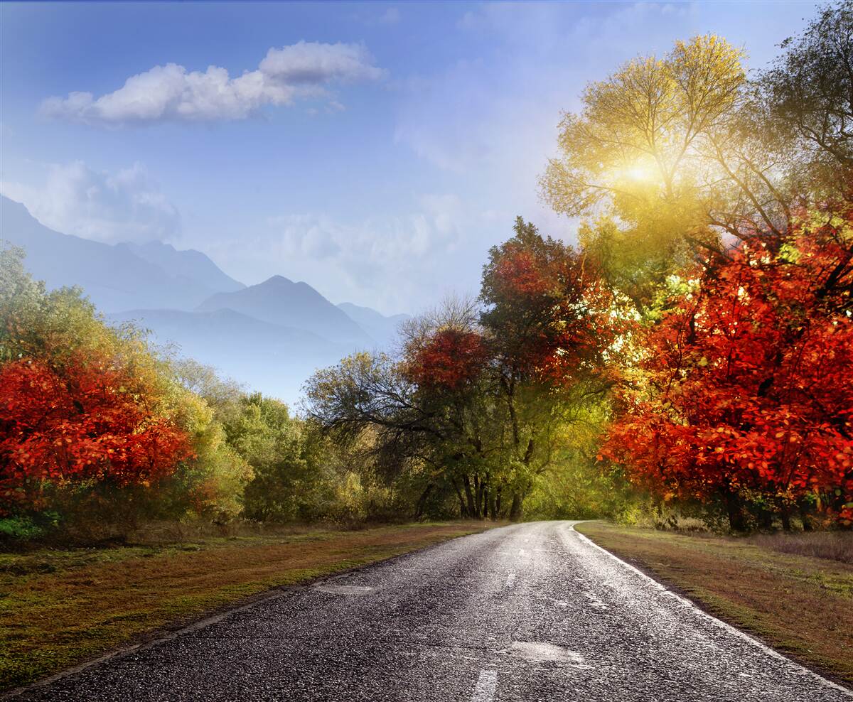 Fototapeten Herbstwaldstraße im Regen