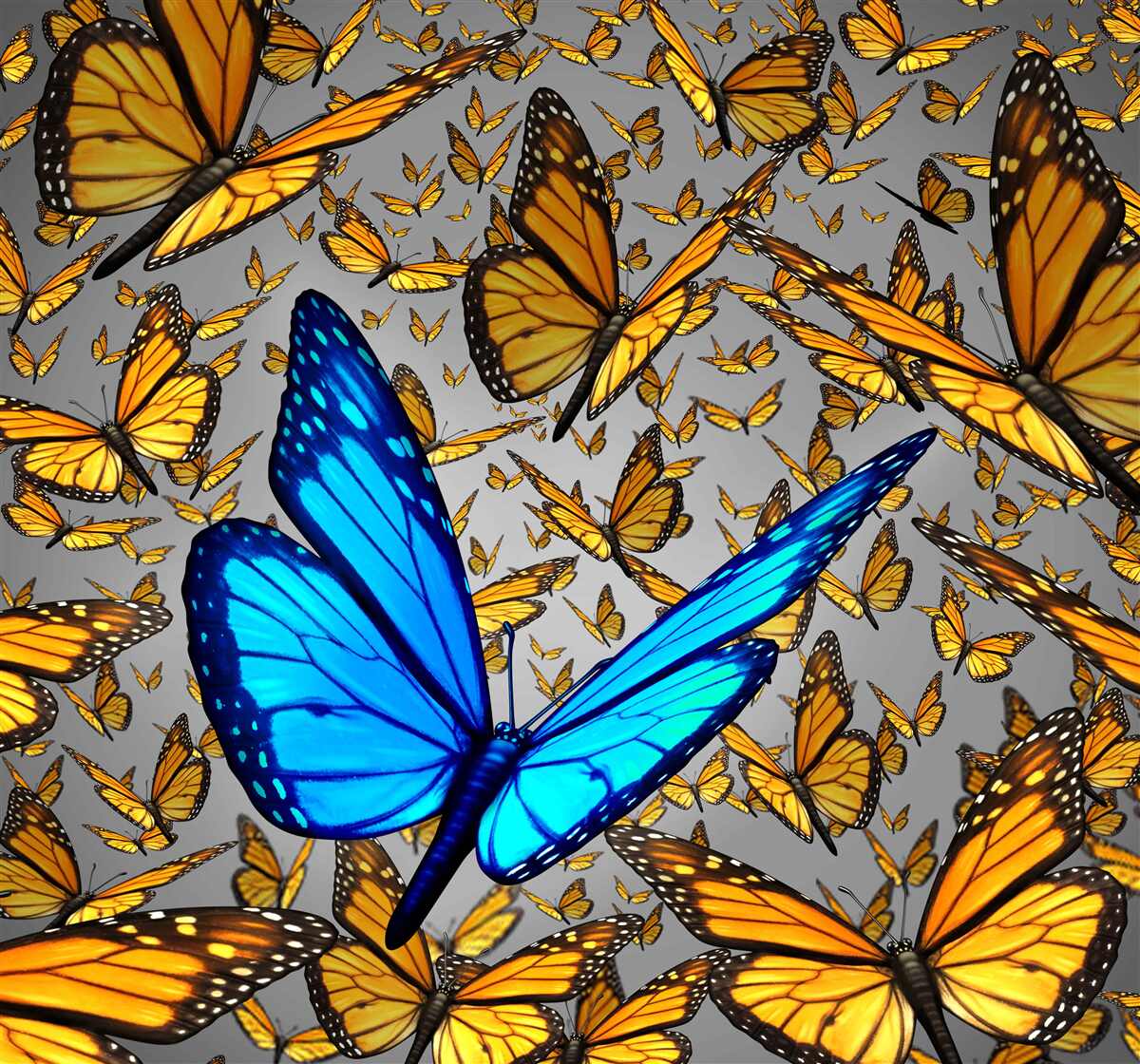 Fototapeten Der blaue Schmetterling sticht deutlich vom Gelb hervor