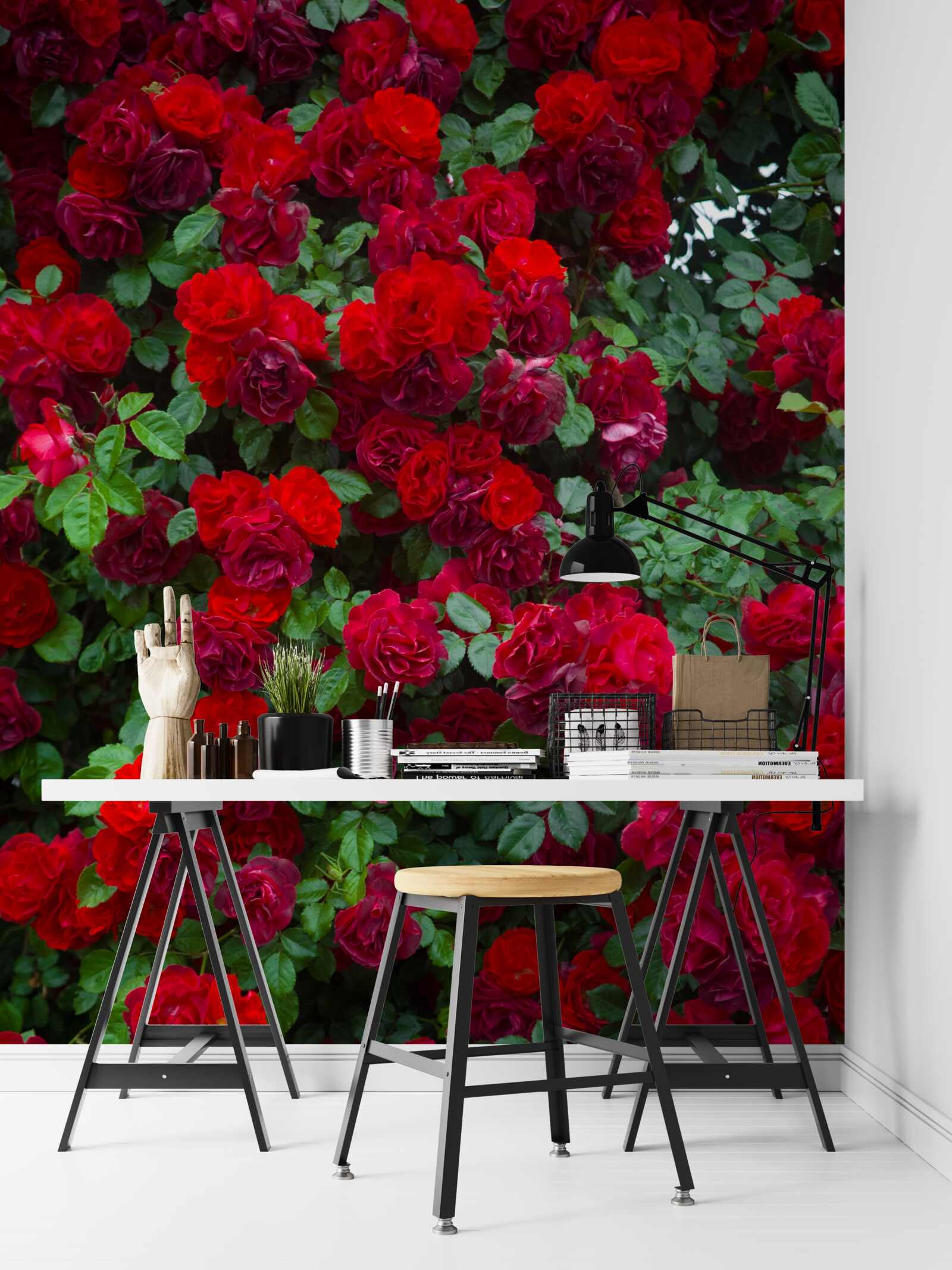 Fototapeten Scarlet Rose Strauch