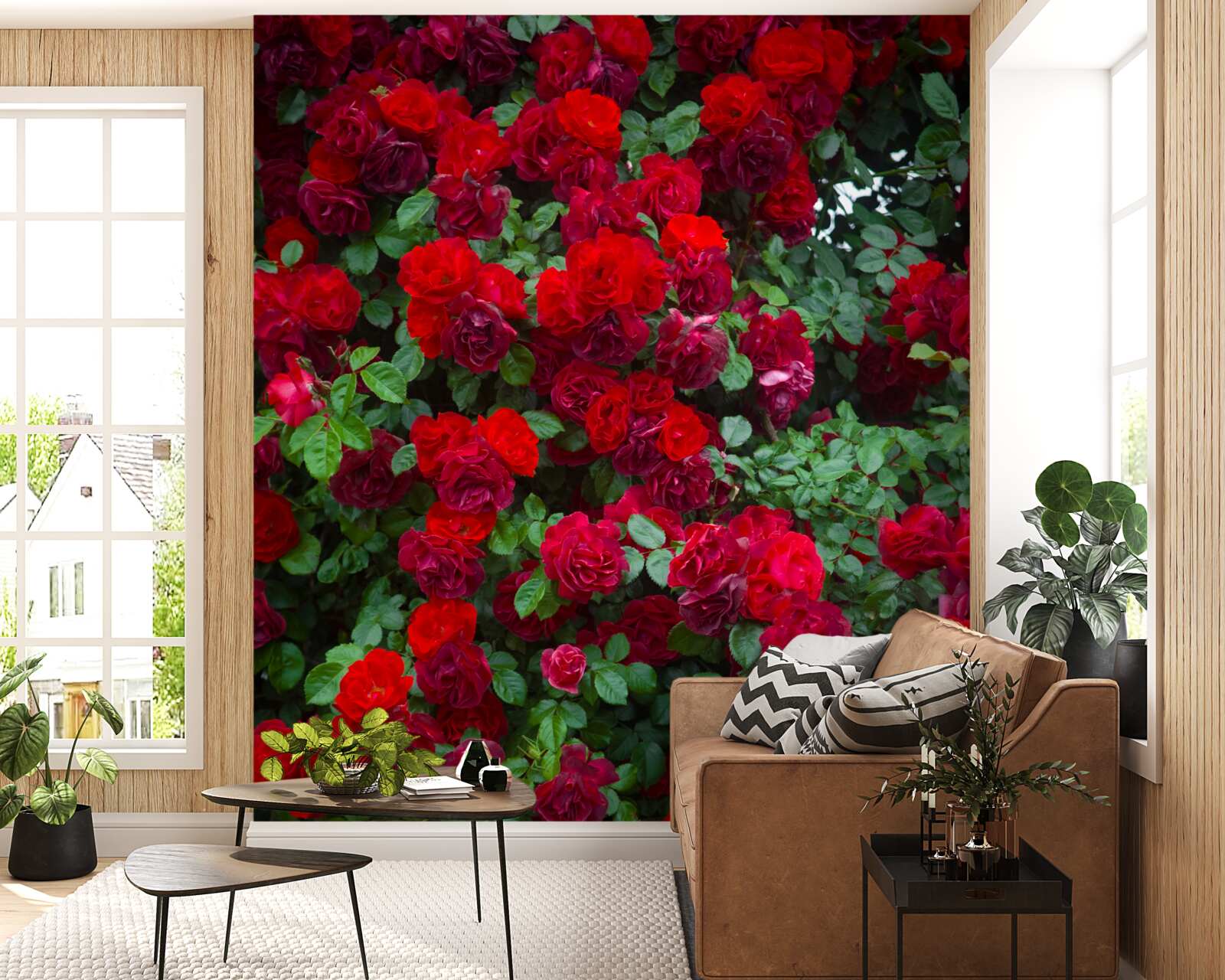Fototapeten Scarlet Rose Strauch