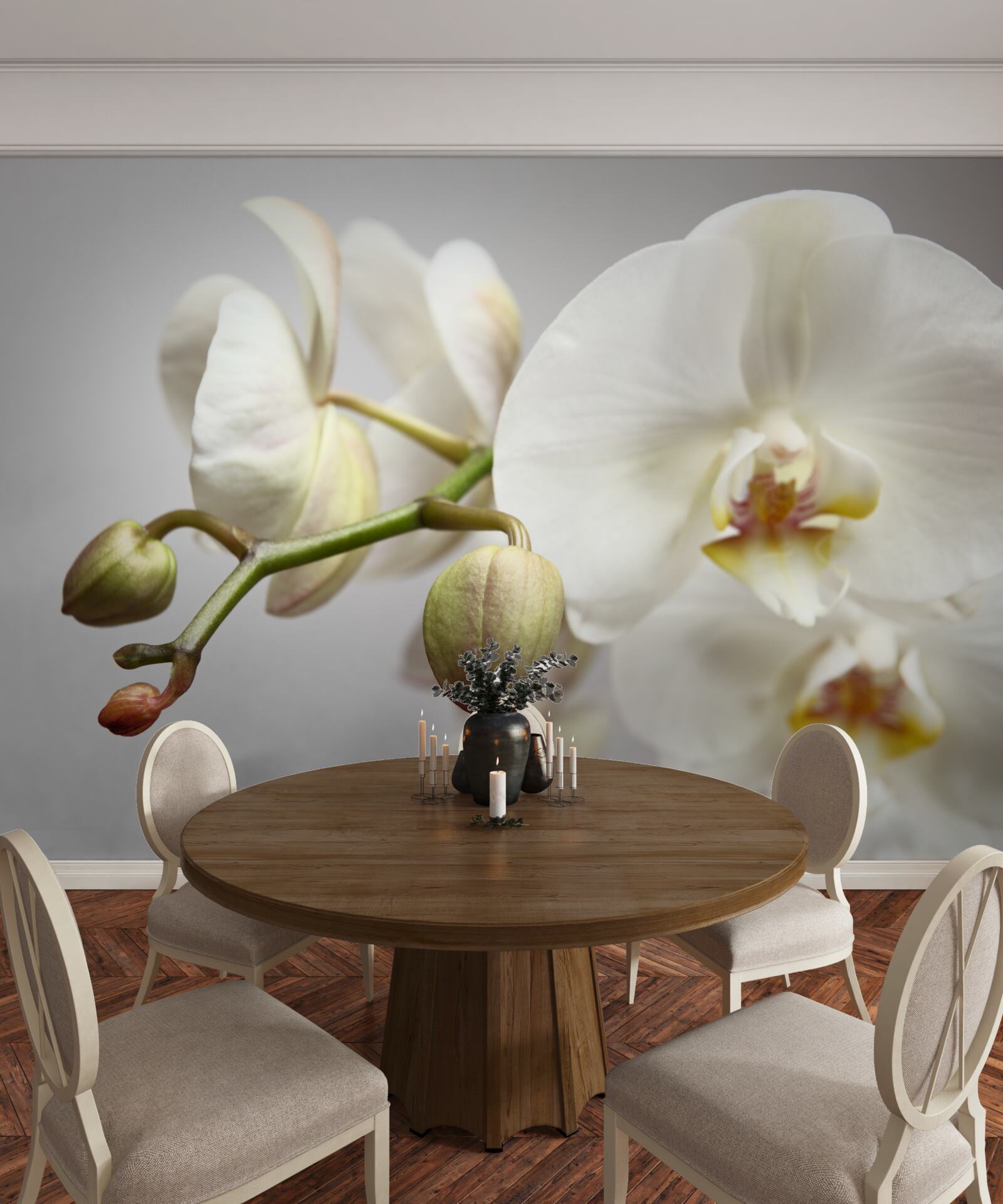 Fototapeten Ein Zweig einer weißen Orchidee mit blühenden Blüten und ungewaschenen Knospen