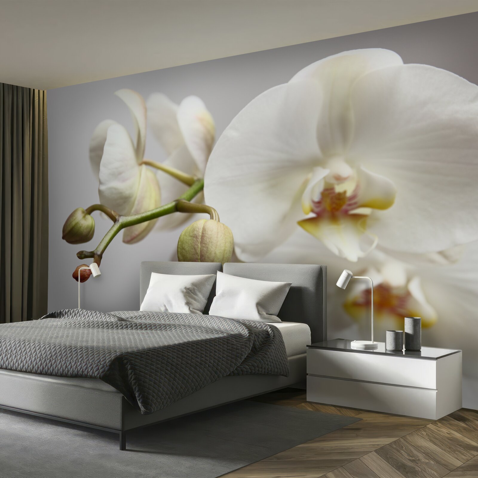 Fototapeten Ein Zweig einer weißen Orchidee mit blühenden Blüten und ungewaschenen Knospen