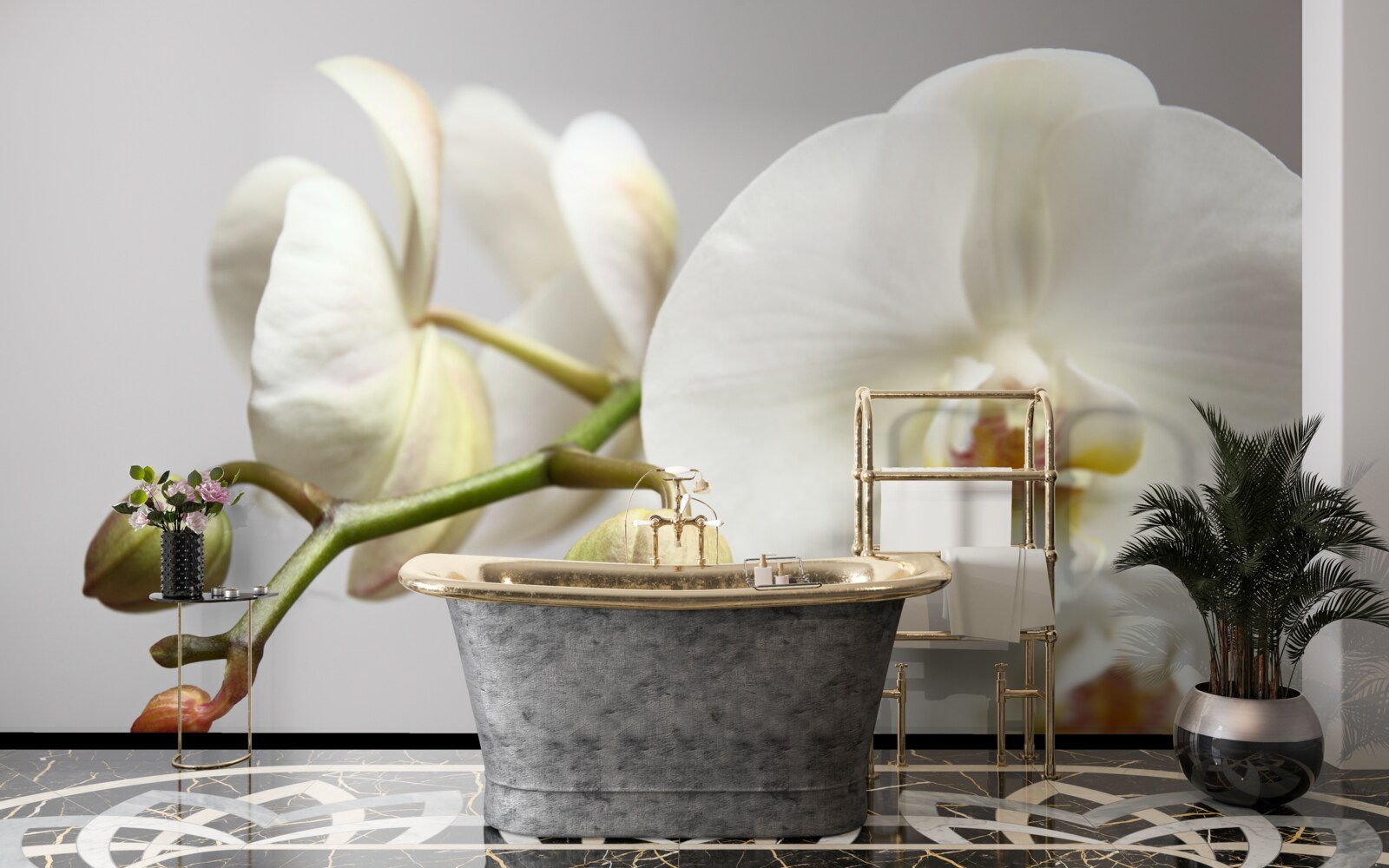 Fototapeten Ein Zweig einer weißen Orchidee mit blühenden Blüten und ungewaschenen Knospen