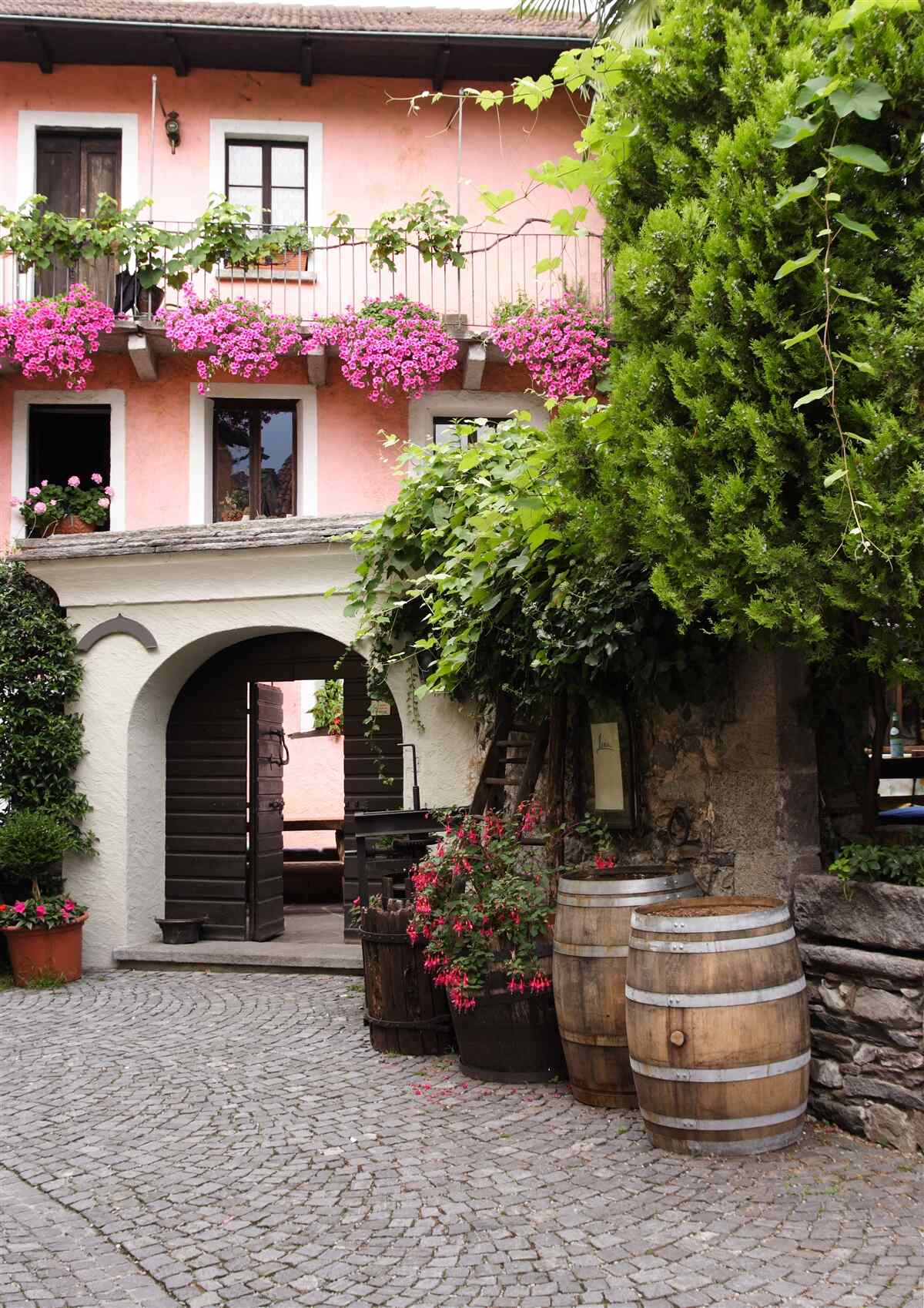Fototapeten Vegetation mit Blumen in der Nähe der Treppe