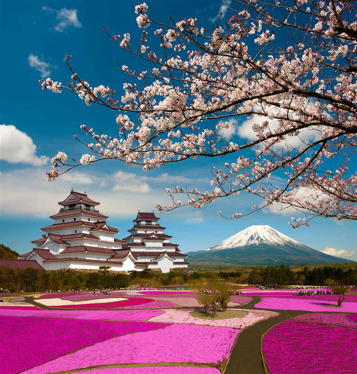 Fototapeten Japanische Gärten in der Sonne