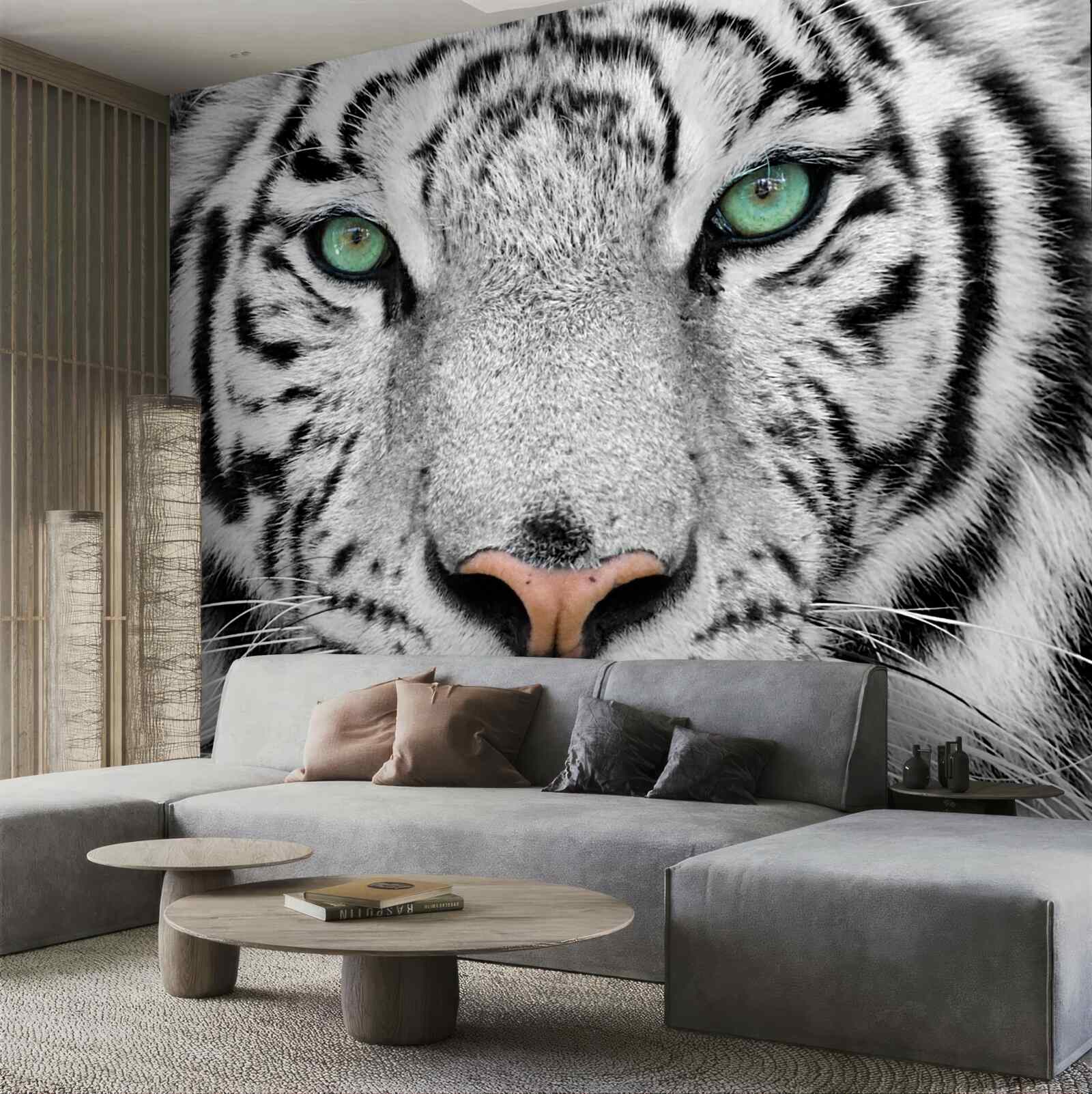 Fototapeten grünem weißem Tiger