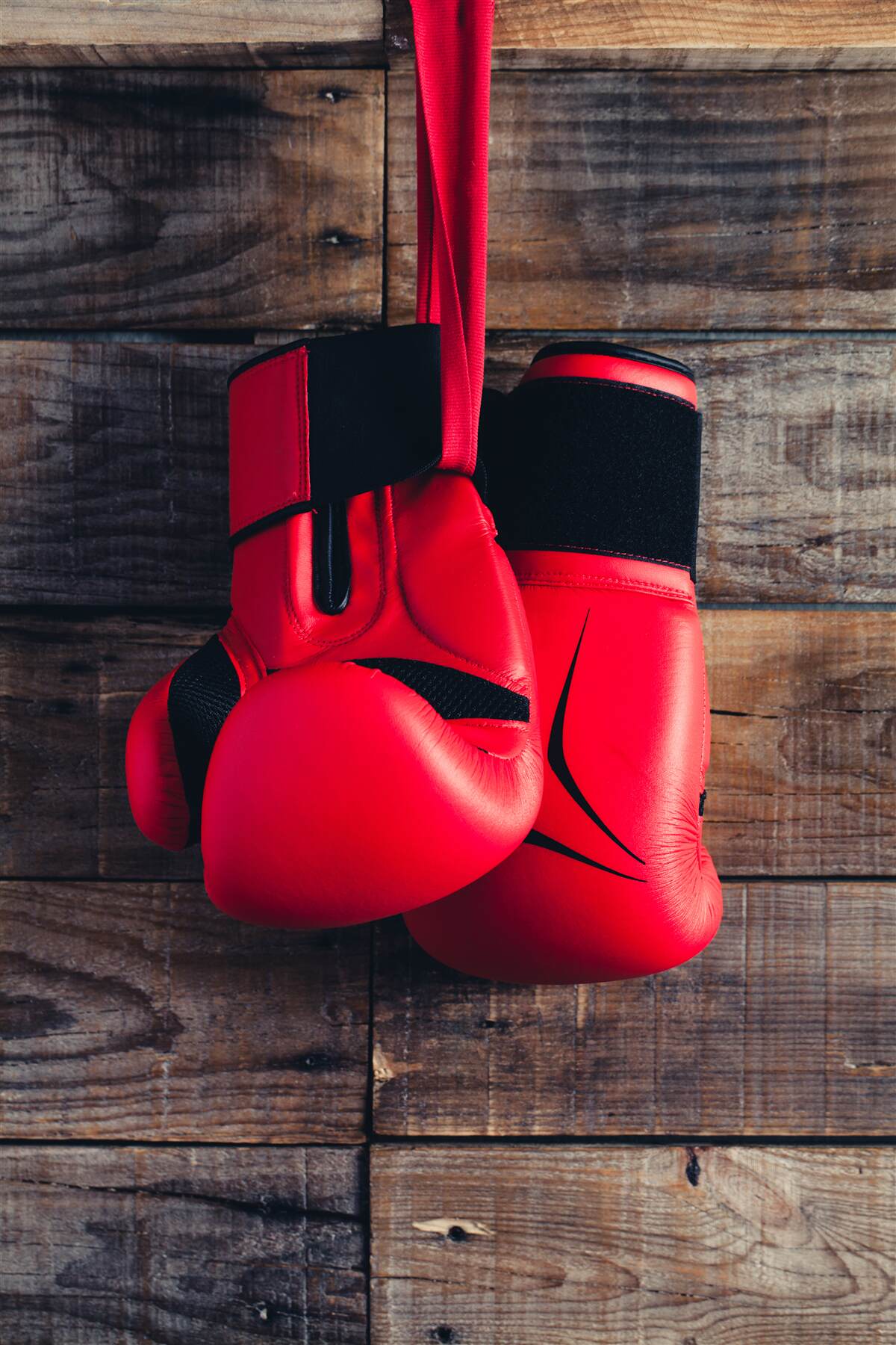 Fototapeten rote Boxhandschuhe