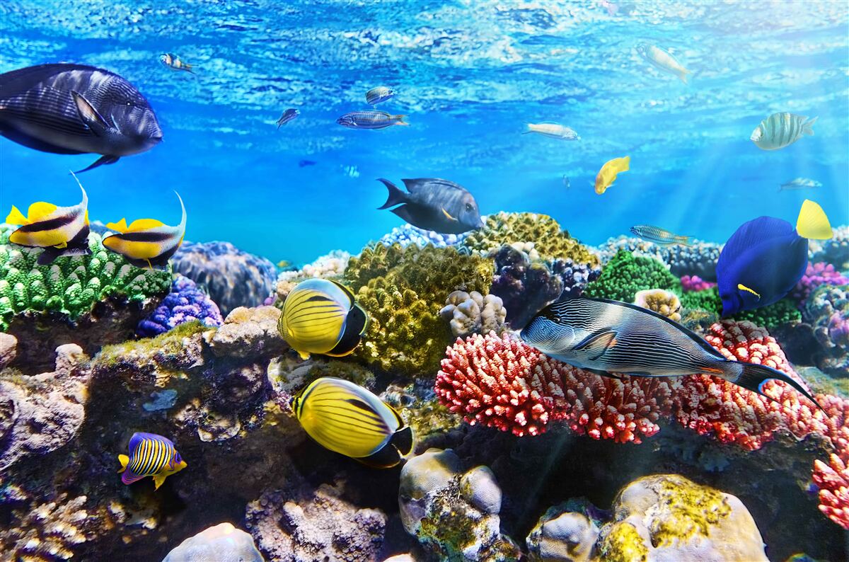 Fototapeten Azure Waters und Unterwasserwohnungen