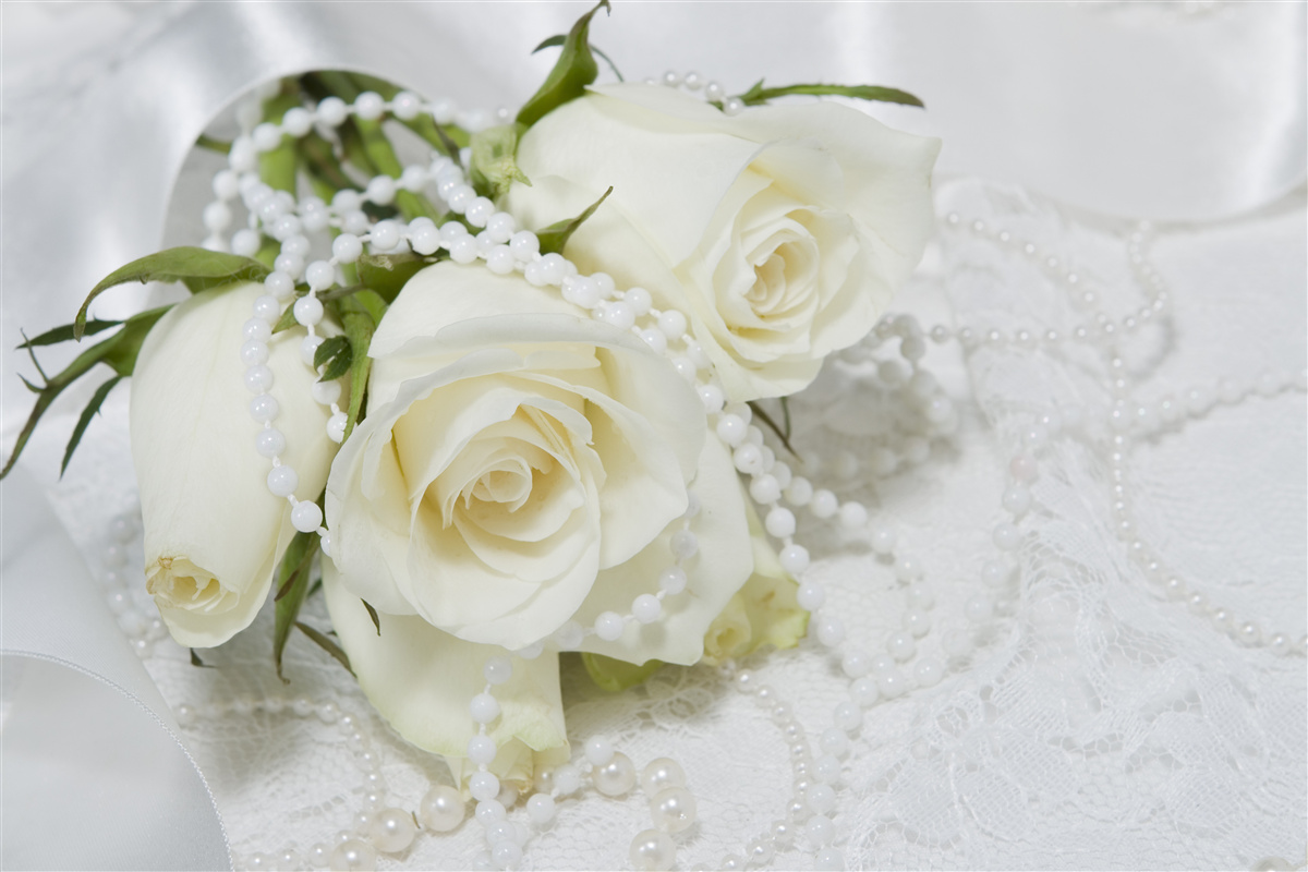 Fototapeten Zusammensetzung weißer Rosen mit Perlenperlen