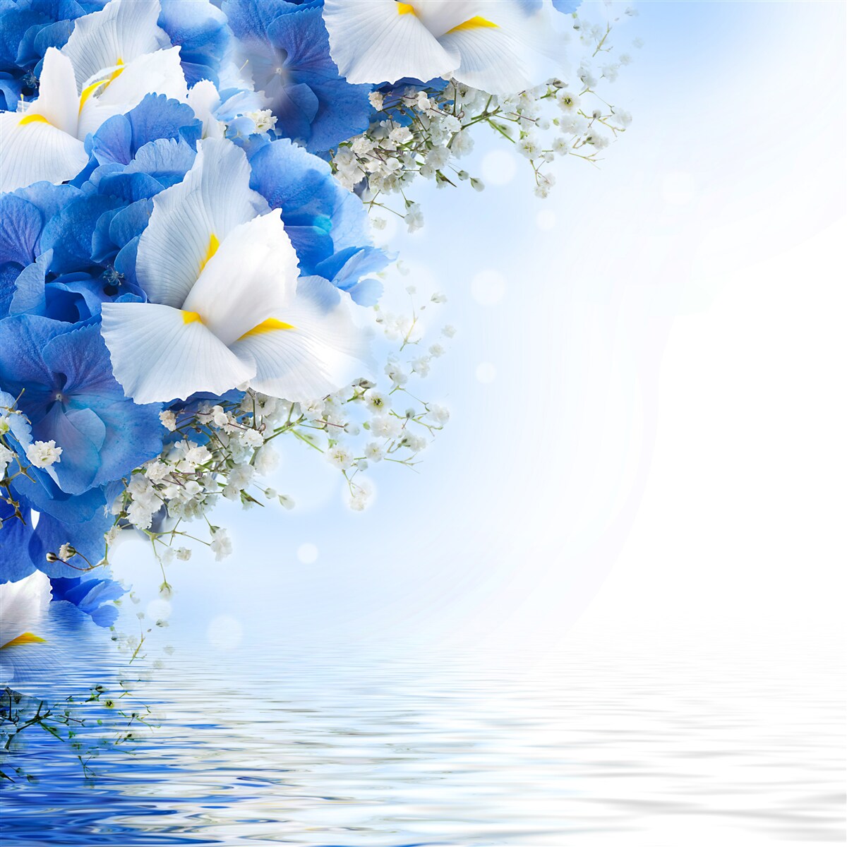 Fototapeten Blaue Farbe und weiße Knospen in der Nähe des Teiches
