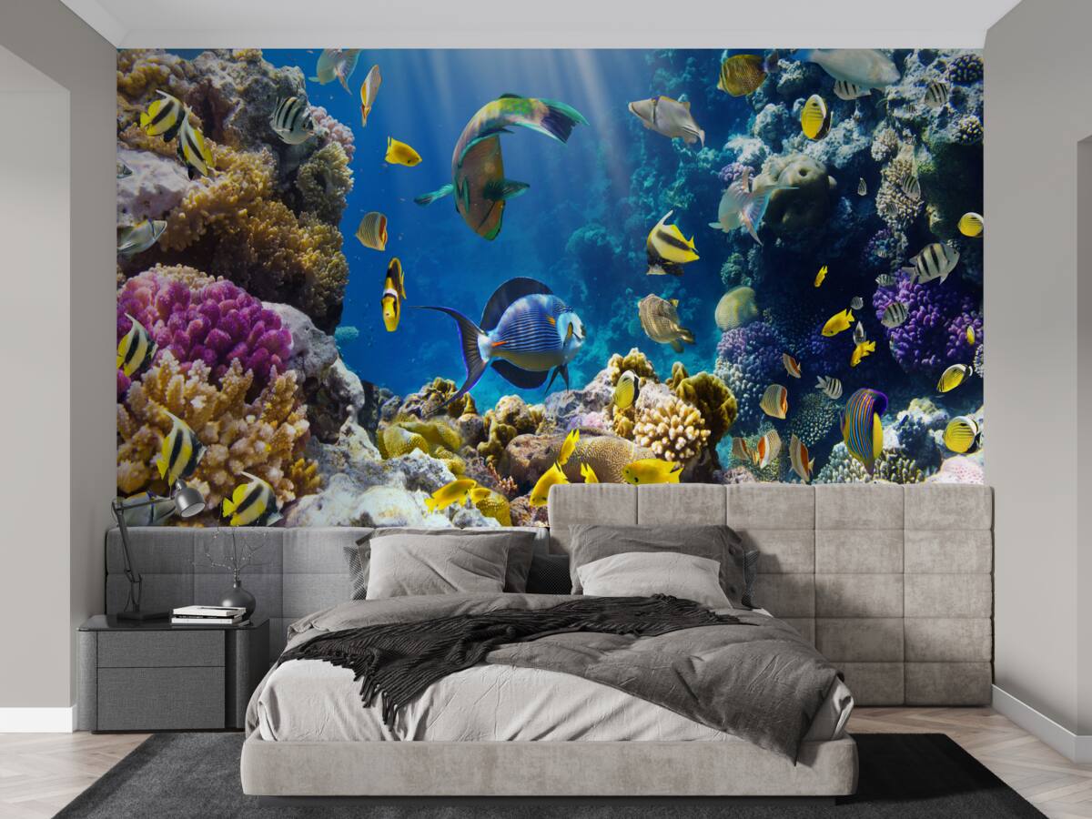 Fototapeten helle Fische und Unterwasseranlagen