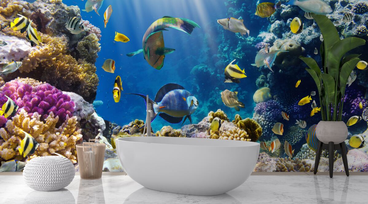 Fototapeten helle Fische und Unterwasseranlagen