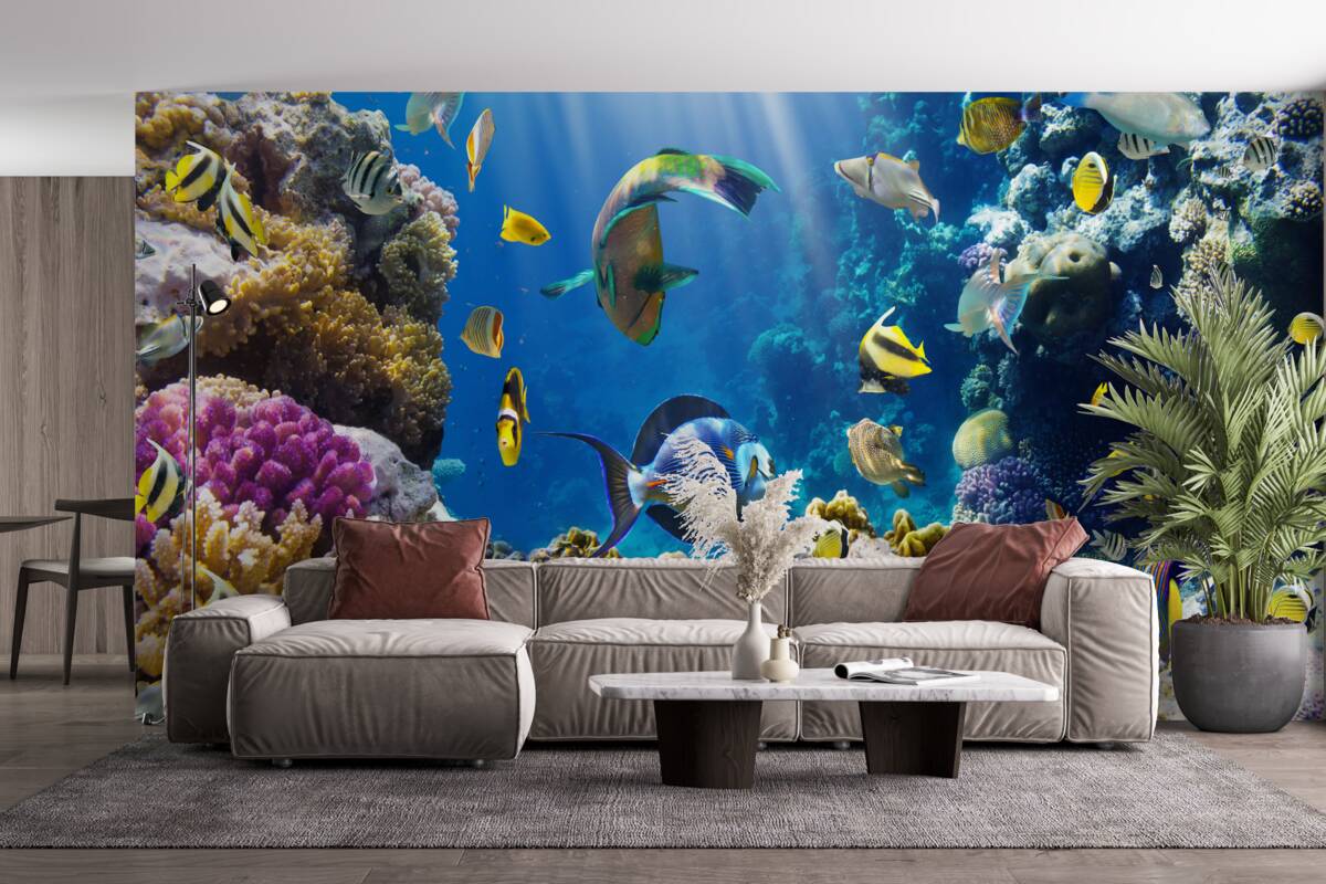 Fototapeten helle Fische und Unterwasseranlagen