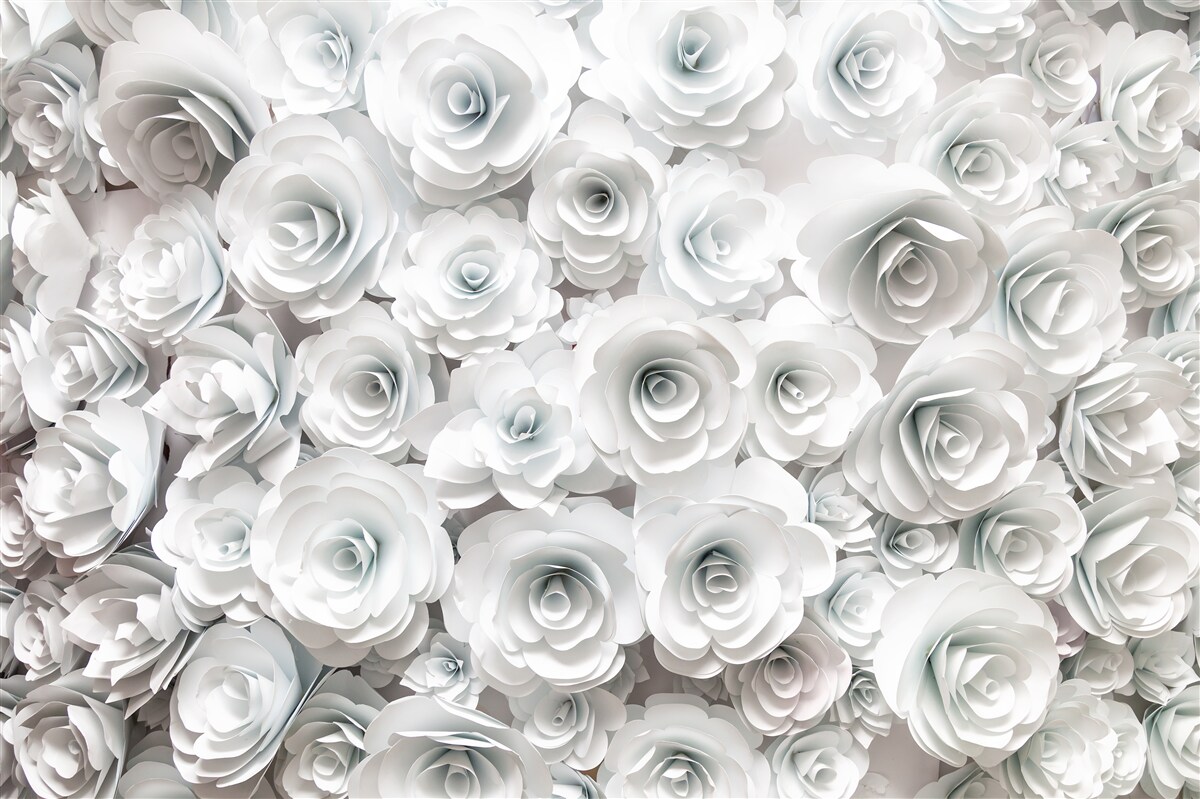 Fototapeten Eine riesige Komposition von schillernden weißen Blumen