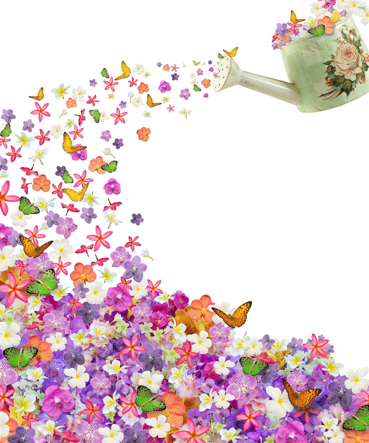 Fototapeten Bewässerung mit Sommerblumen und Schmetterlingen