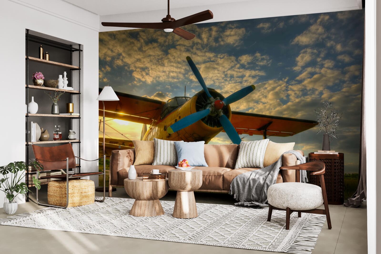 Fototapeten Es gibt ein historisches Flugzeug mit einem Propeller auf dem Feld
