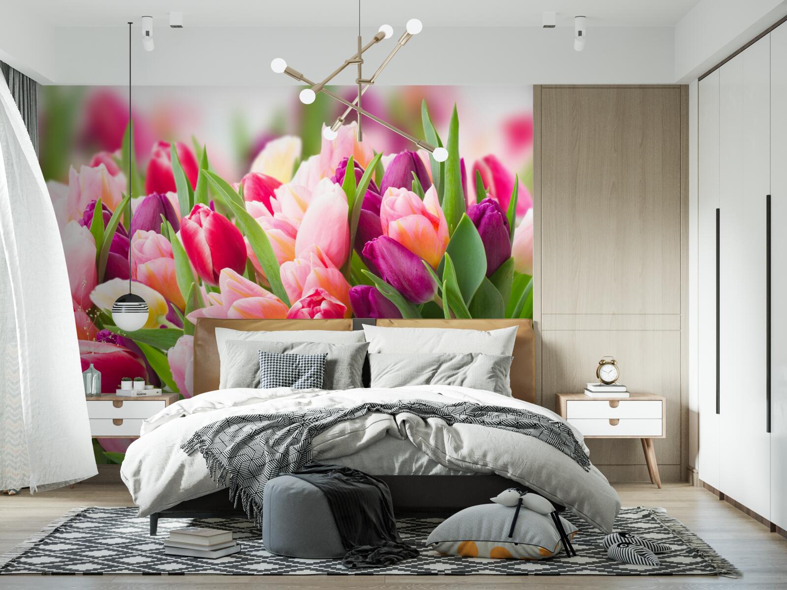Fototapeten Helle Feder -Tulpen mit grünen Blättern