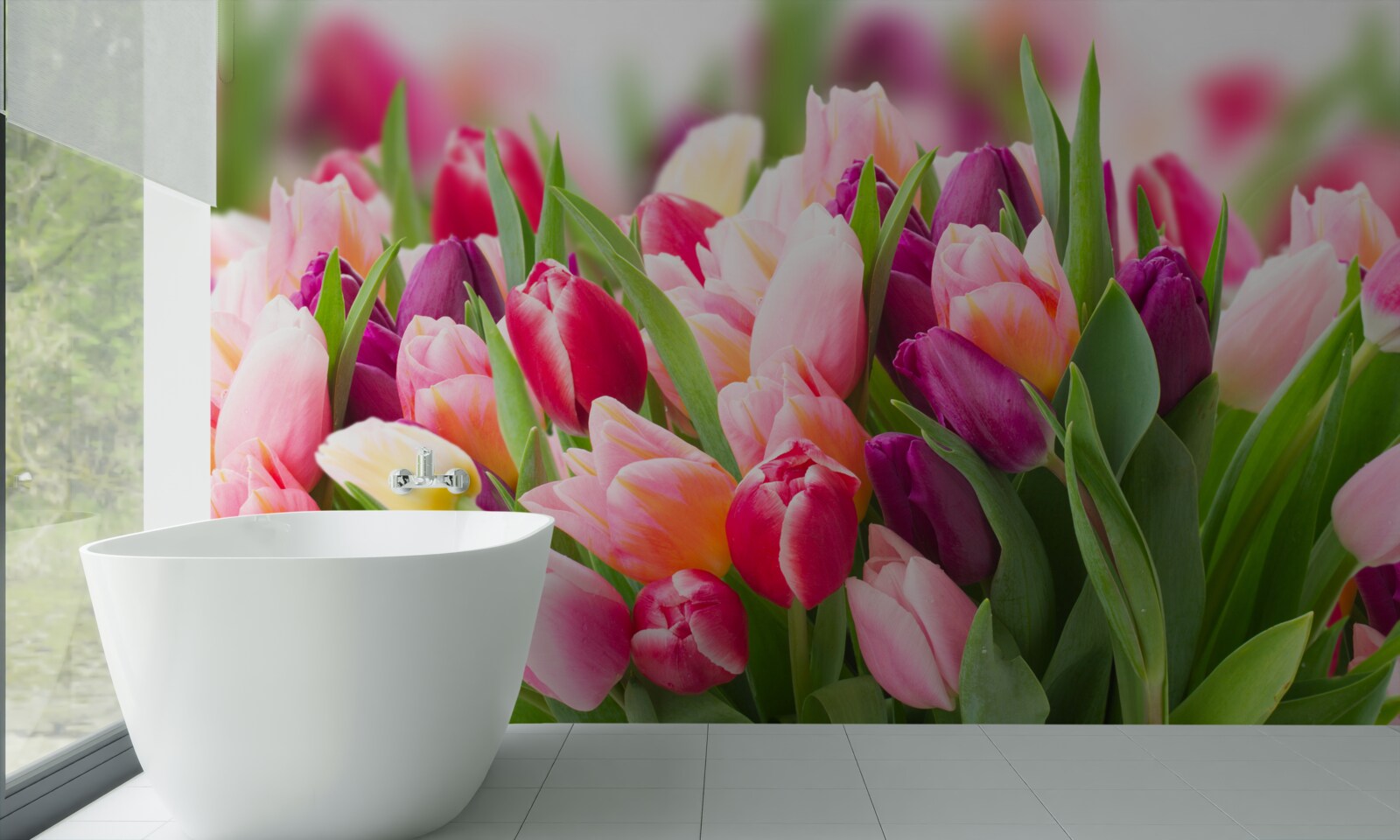Fototapeten Helle Feder -Tulpen mit grünen Blättern